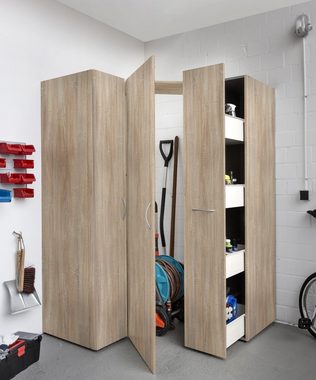 freiraum Mehrzweckschrank Multiraumkonzept (BxH: 50x185 cm) in EICHE SAEGERAU-NACHBILDUNG mit einer Tür