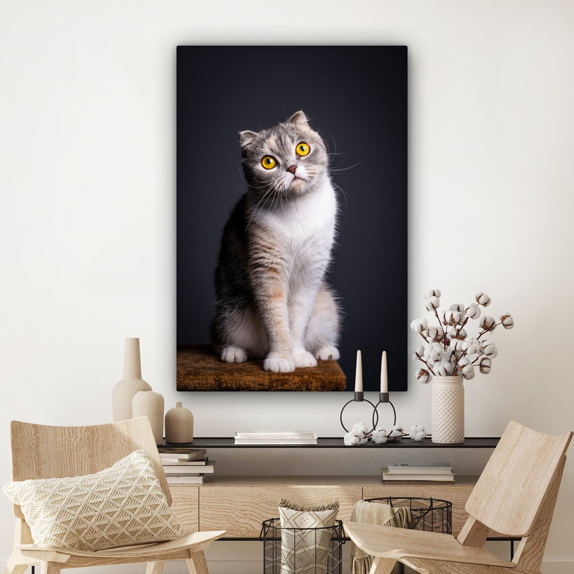 Gemälde, Licht, großes, cm 90x140 für alle - Augen - XXL, St), Wohnbereiche, Katze OneMillionCanvasses® (1 Leinwandbild Wandbild