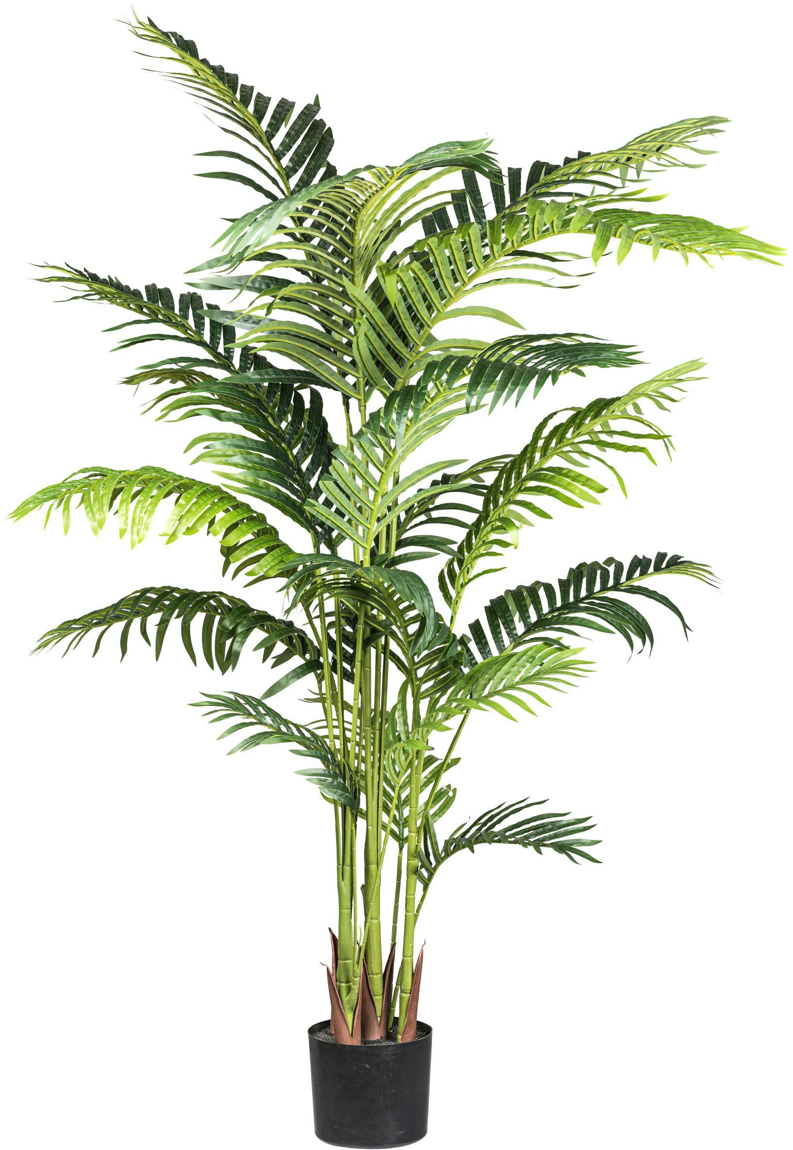 Kunstpalme Kentiapalme Kentiapalme, Creativ green, Höhe 160 cm, mit detailgetreuen Wedeln