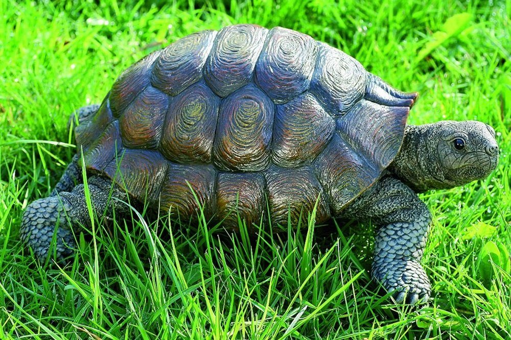 BOLTZE GRUPPE GmbH Tierfigur Schildkröte Slomo, günstig online kaufen
