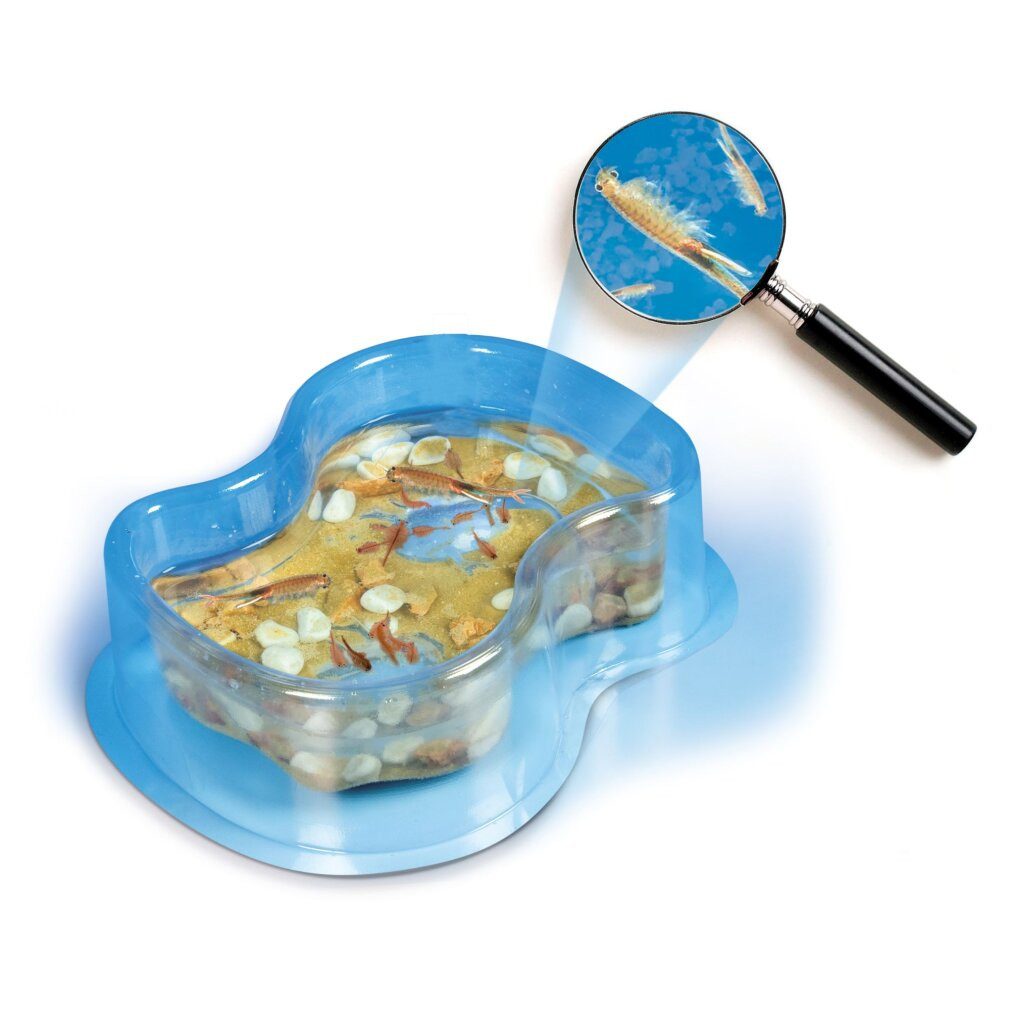 Clementoni® Zauberkasten Clementoni Galileo Lab Original Salzkrebse, Experimentierkasten