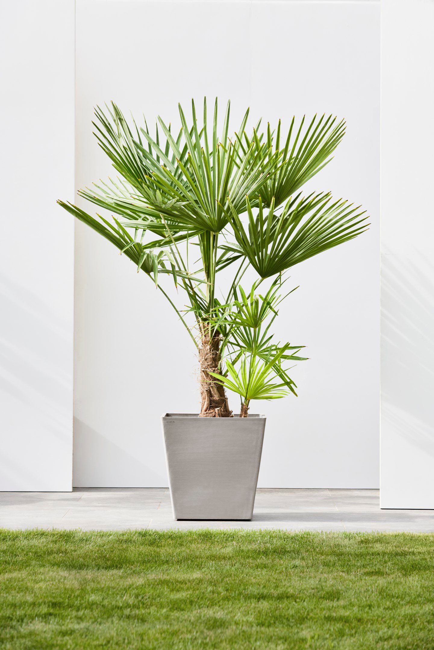 ECOPOTS Blumentopf Rotterdam mit Rollen 50 günstig online kaufen
