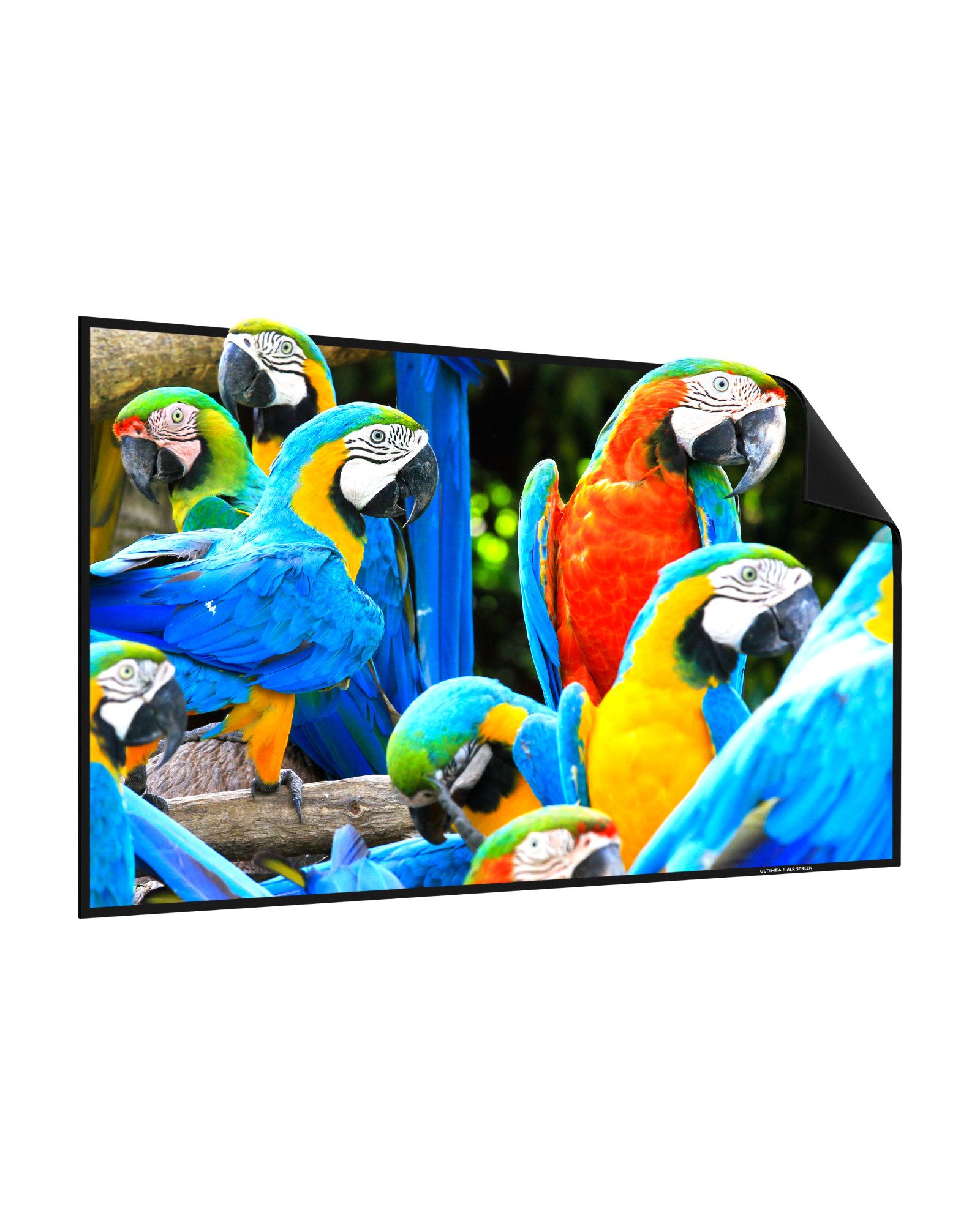 Ultimea 120 Zoll E-ALR Projektionsleinwand, 4K HD Silberleinwand Faltrahmenleinwand (für Außenbereich & Heimkino, tragbare Wandmontage-Kinoleinwand)