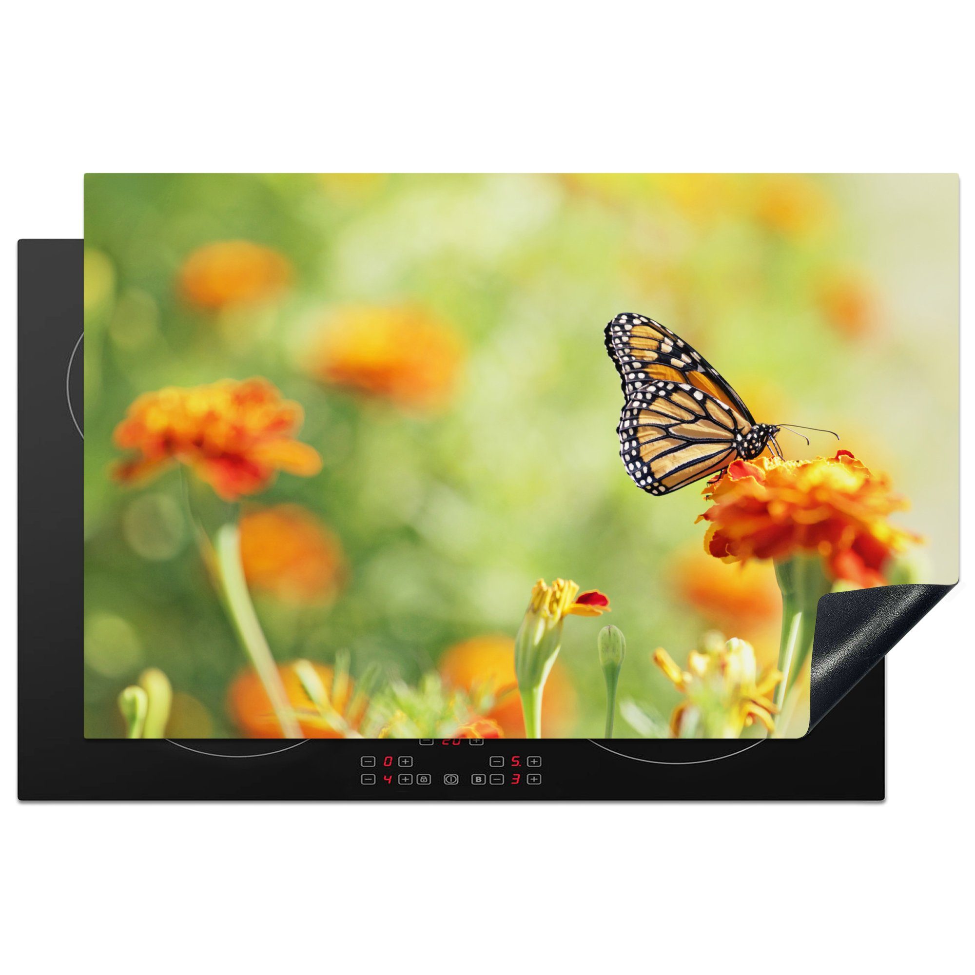 MuchoWow Herdblende-/Abdeckplatte Monarchfalter auf orangefarbener Blüte, Vinyl, (1 tlg), 81x52 cm, Induktionskochfeld Schutz für die küche, Ceranfeldabdeckung