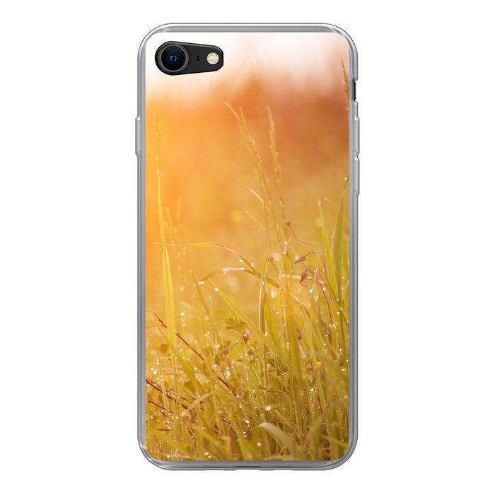 MuchoWow Handyhülle Gras mit frühem Tau im Morgenlicht Handyhülle Apple iPhone SE (2020) Smartphone-Bumper Print Handy