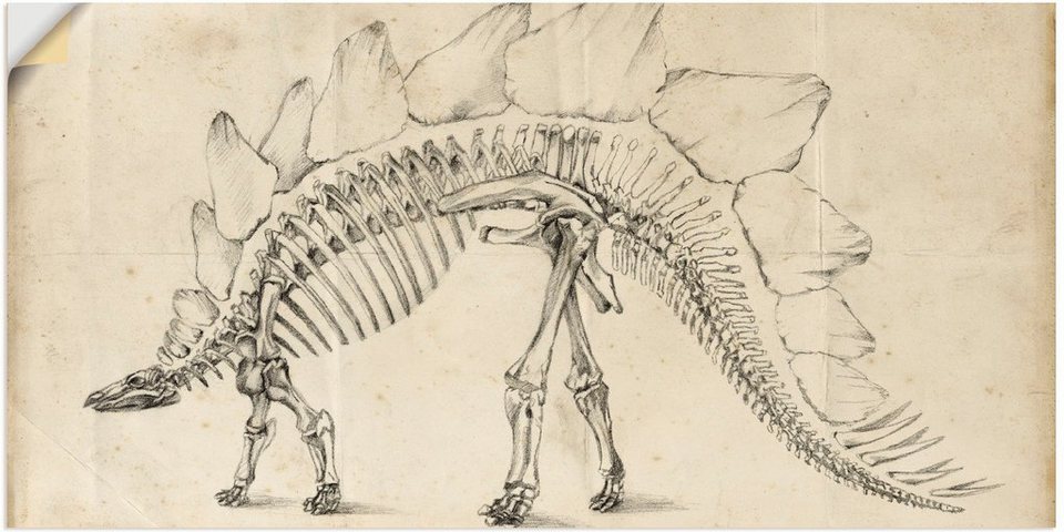 Artland Wandbild Dinosaurier Lehre III, Dinosaurier (1 St), als Alubild,  Outdoorbild, Wandaufkleber in verschied. Größen