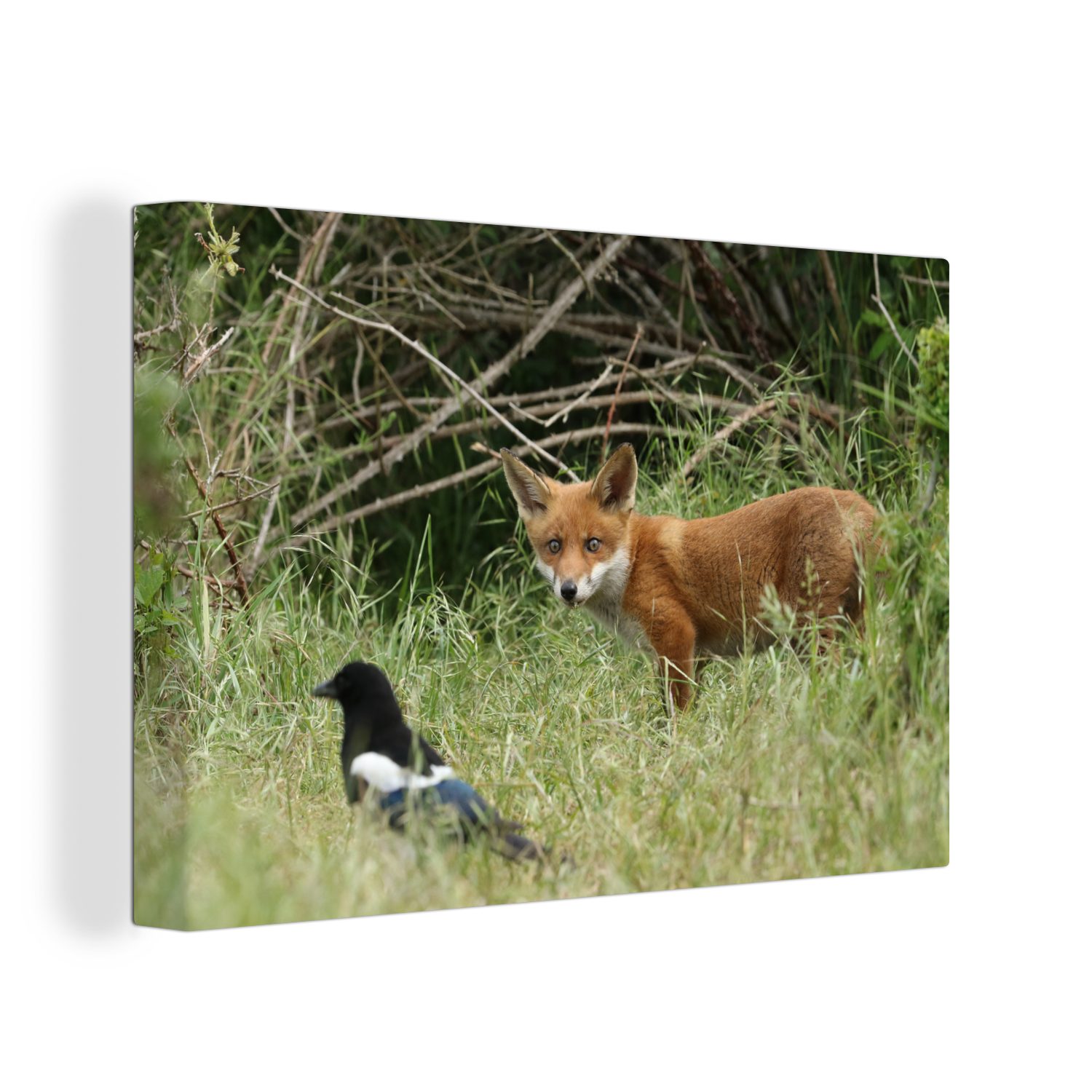 OneMillionCanvasses® Leinwandbild Tiere - Vogel - Fuchs, (1 St), Wandbild Leinwandbilder, Aufhängefertig, Wanddeko, 30x20 cm