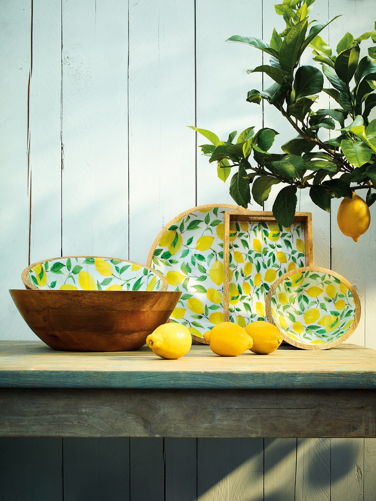 ZASSENHAUS Schale Schüssel Schale Obstschale Mangoholz Ø35 x 6cm ZASSENHAUS LEMON 080339, Material: Mangoholz