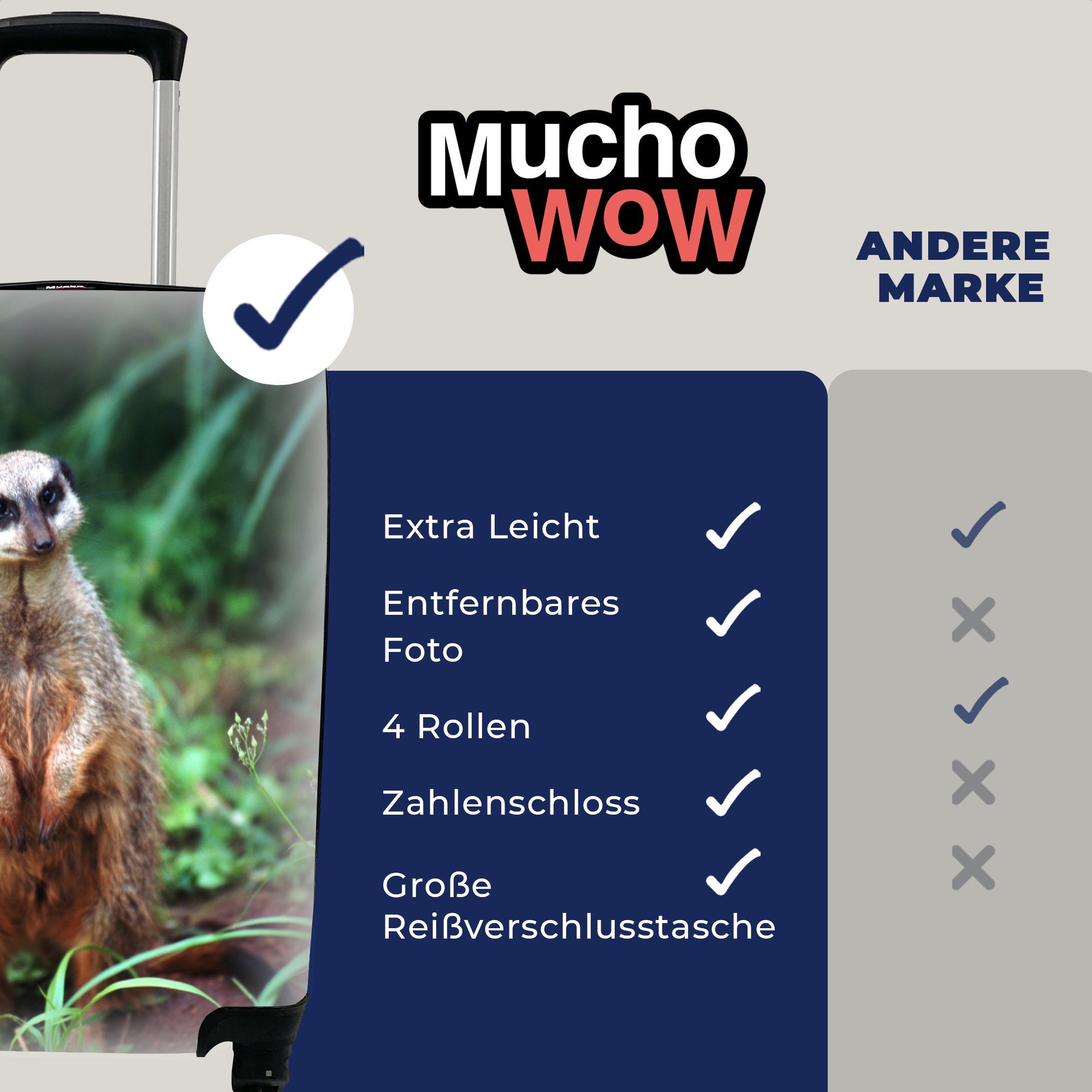 MuchoWow Handgepäckkoffer Gras - Erdmännchen - 4 Reisetasche Reisekoffer Ferien, rollen, für mit Tier, Trolley, Rollen, Handgepäck