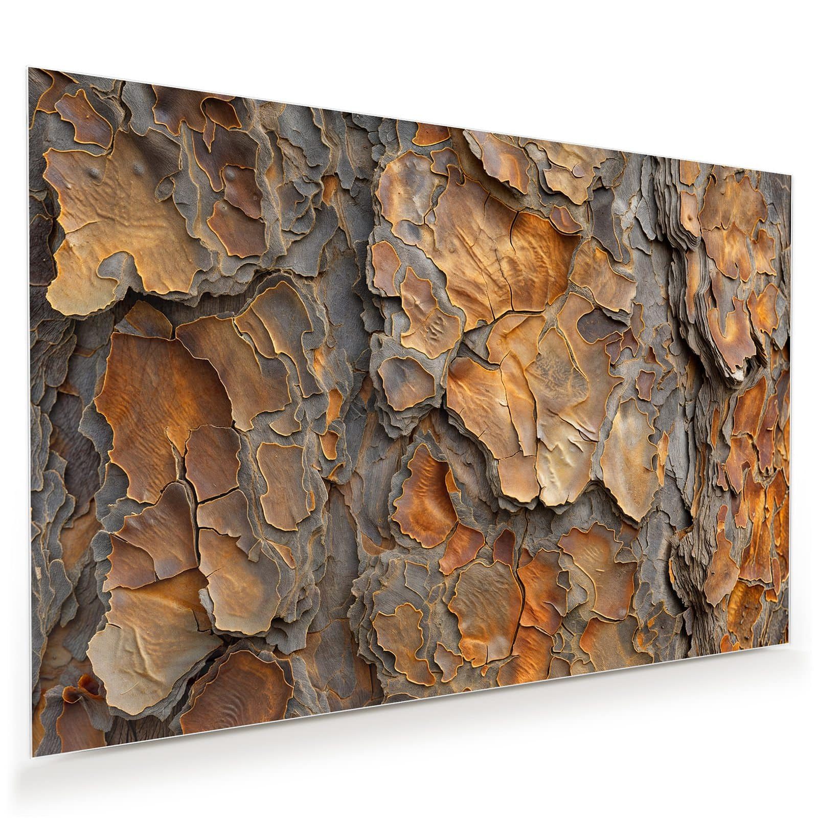 Primedeco Glasbild Wandbild Rinde Struktur Formen mit Aufhängung, Texturen günstig online kaufen