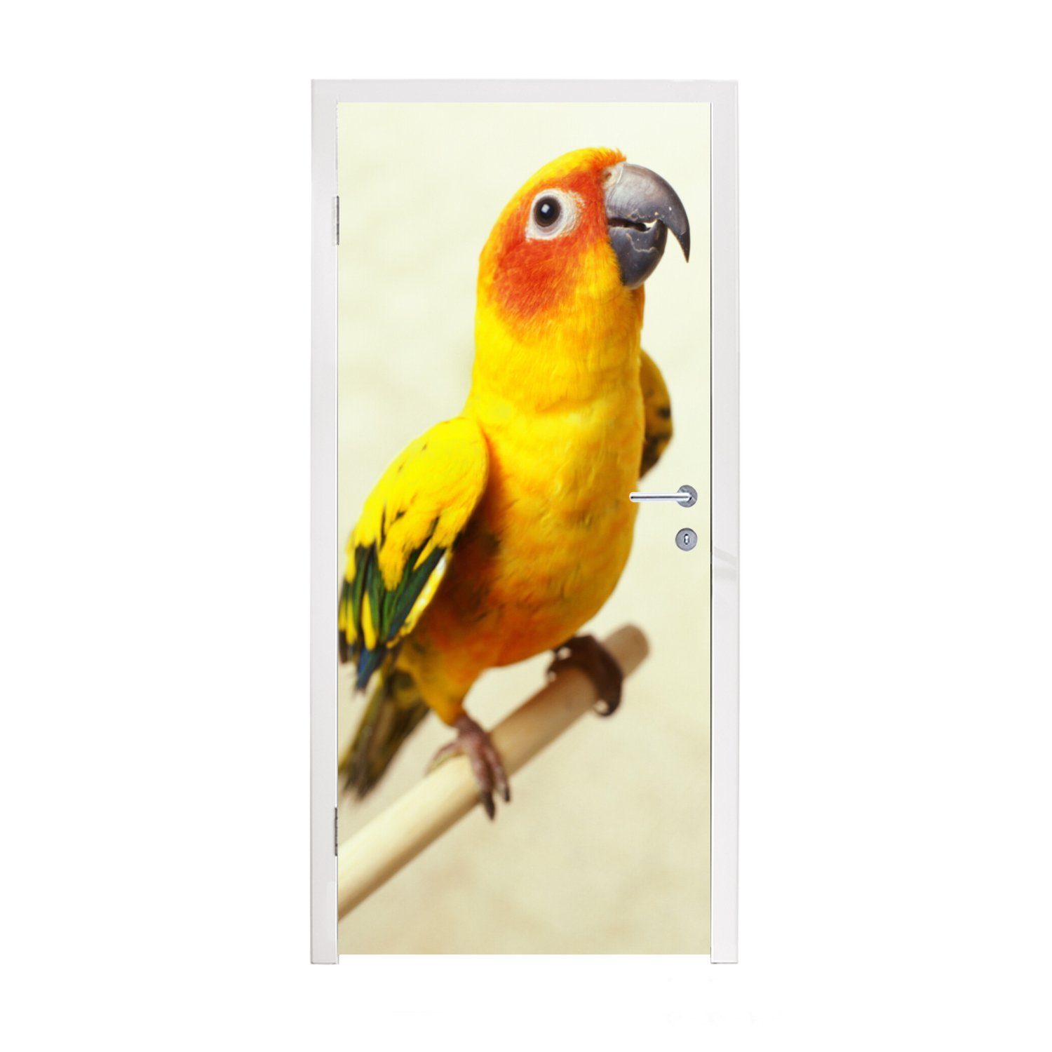 MuchoWow Türtapete Gelb gefärbter Sonnensittich auf einem Stock, Matt, bedruckt, (1 St), Fototapete für Tür, Türaufkleber, 75x205 cm
