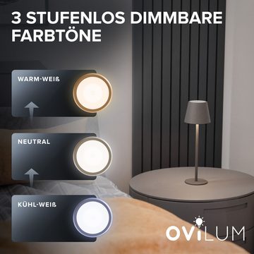 ovilum LED Außen-Tischleuchte Tischlampe, aus Edelstahl in Anthrazit zur