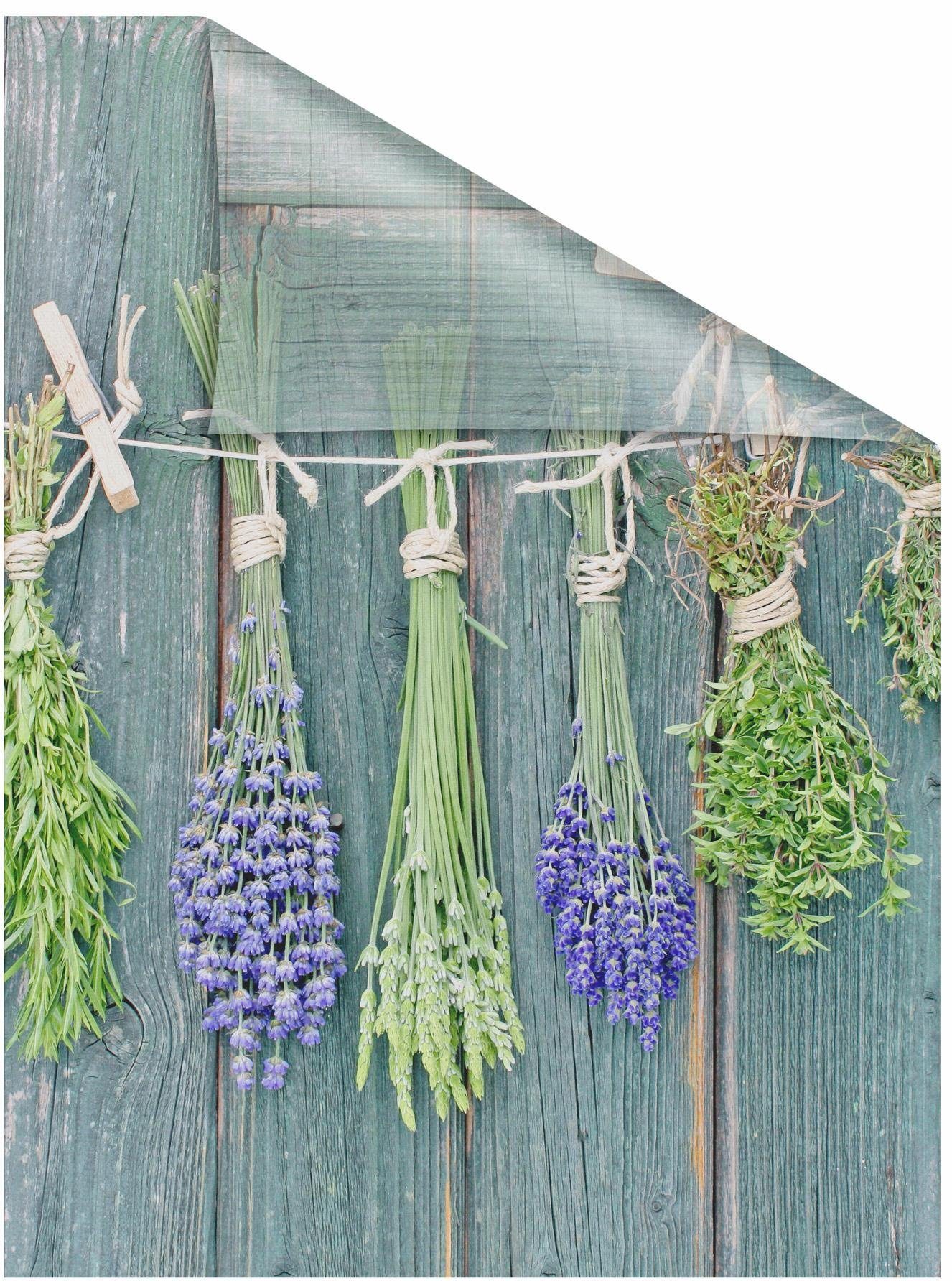 LICHTBLICK ORIGINAL Fensterfolie Kräuter, blickdicht, strukturiert, selbstklebend, Sichtschutz