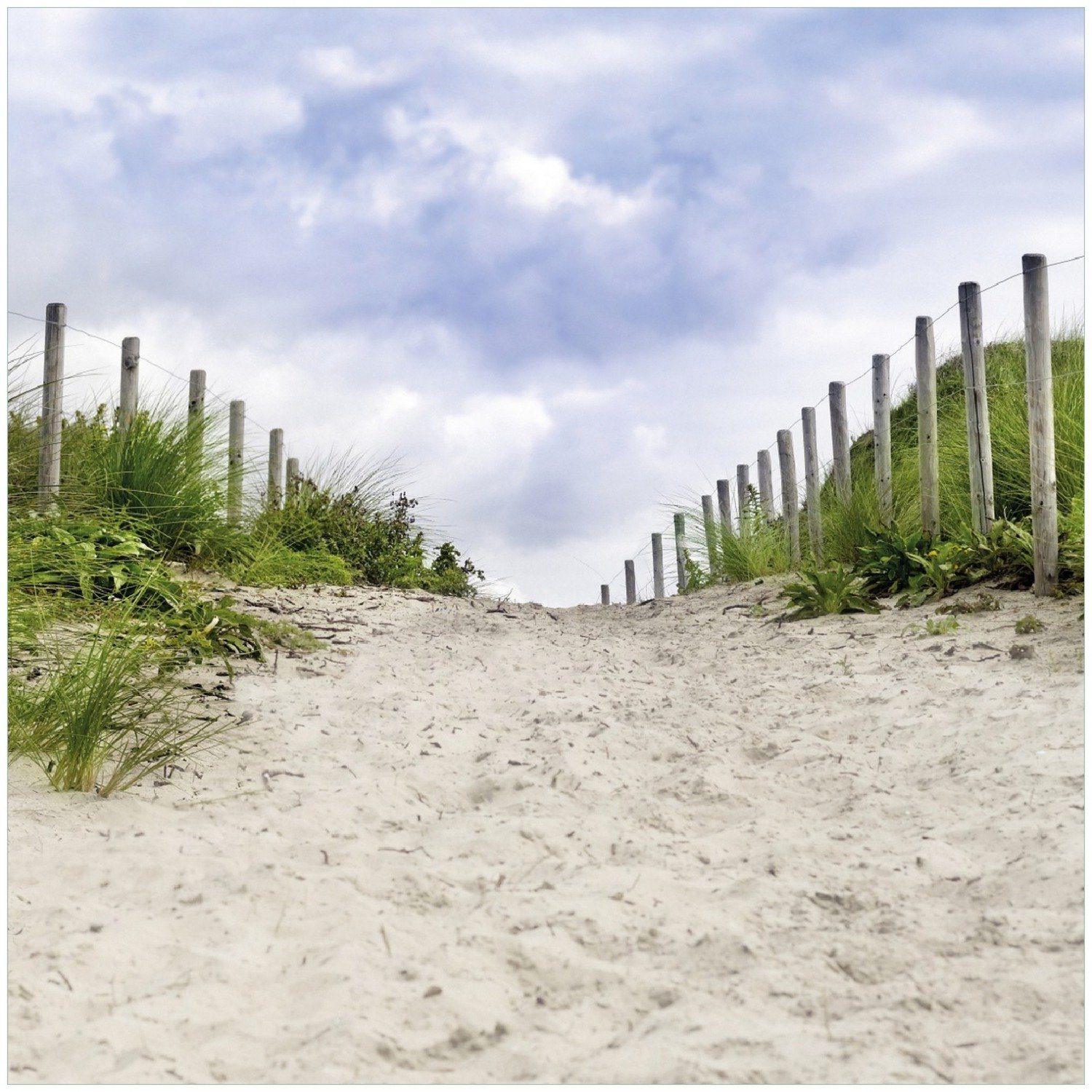 Wallario Memoboard Auf dem Weg zum Strand durch Dünen