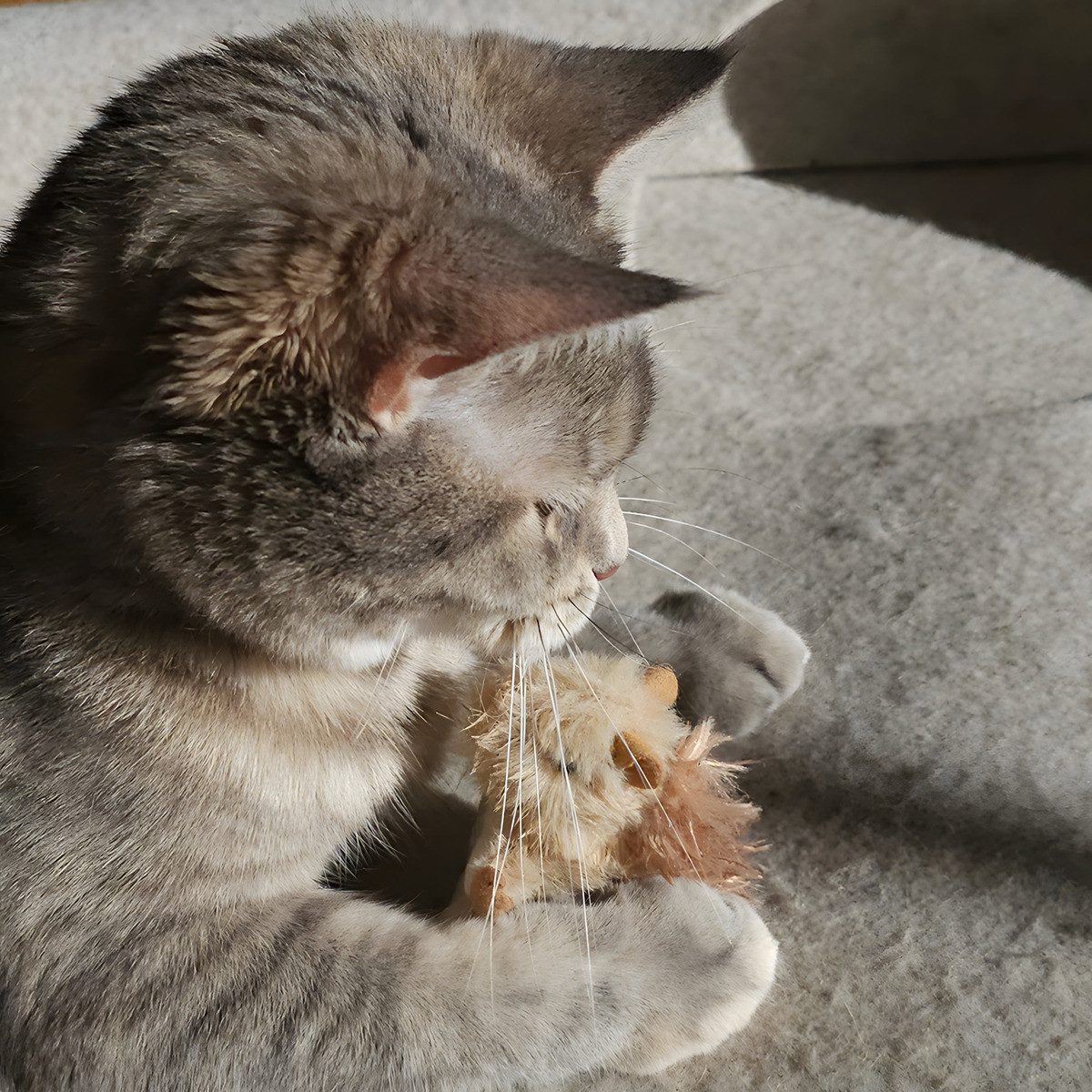 Nobby Tierkuscheltier Katzenspielzeug Eichhörnchen günstig online kaufen