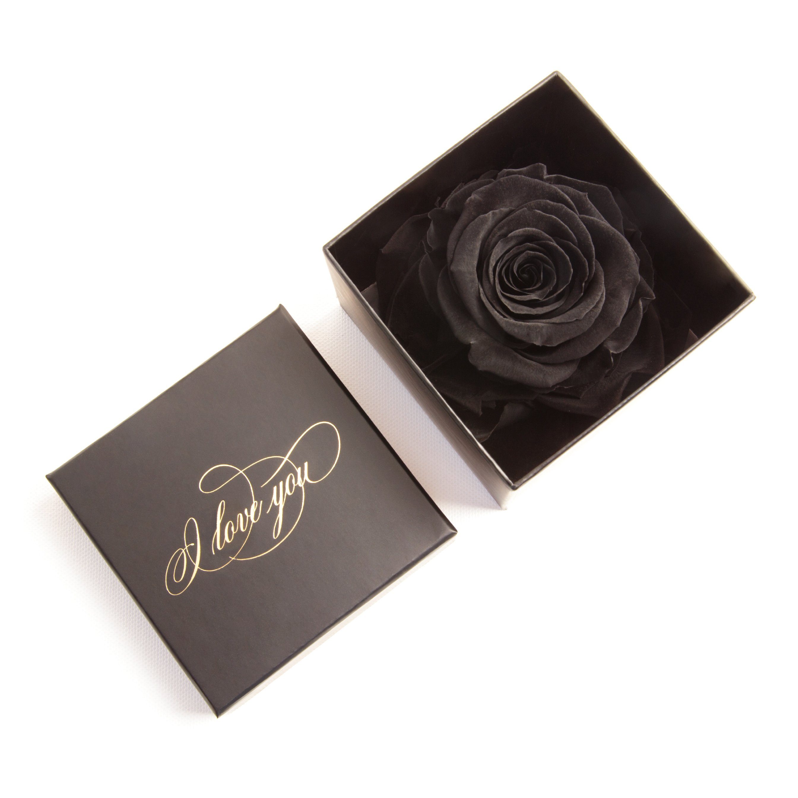 Kunstblume Infinity Rose Schwarz Höhe konserviert Liebesbeweis Box You Love cm, Geschenk Echte Rose, 6 ROSEMARIE Rose SCHULZ I Heidelberg, Idee
