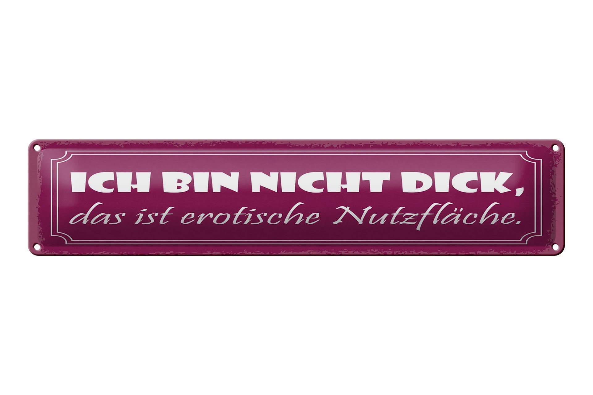 Femer GmbH Metallschild Spruch 46x10 cm nicht dick, das ist erotische Nutzfläche, (1 St), gewölbte Oberfläche, abgerundete Ecken, umgeschlagene Kanten