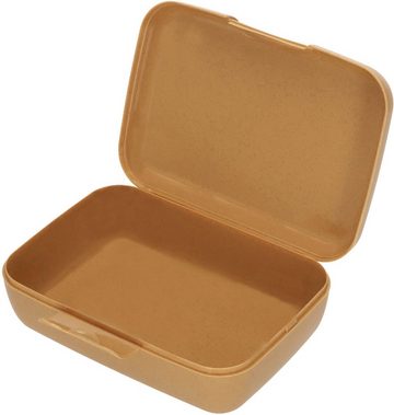 Sterntaler® Lunchbox Albert/Lio, Polyprophylen (PP), (1-tlg), Made in Germany