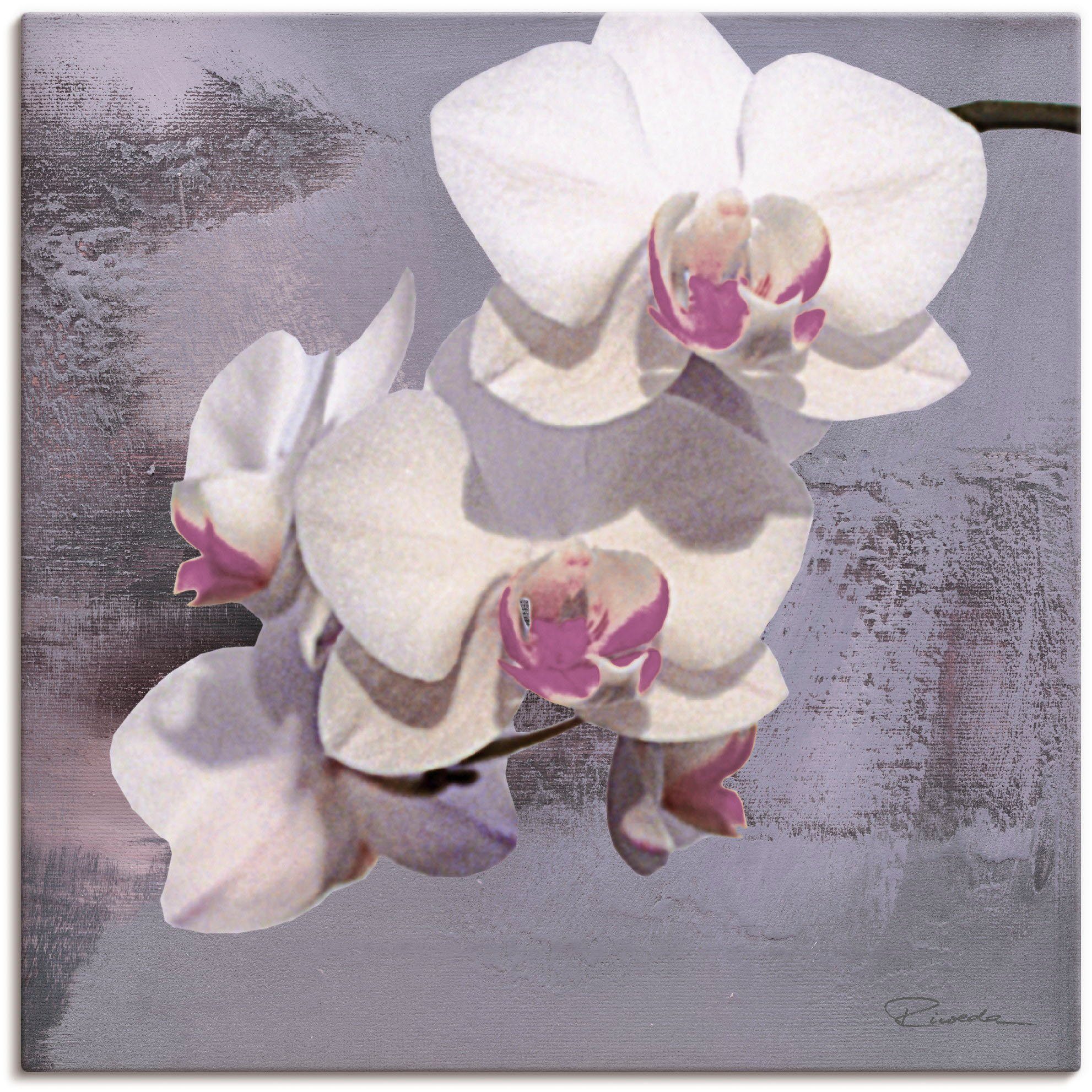 Artland Wandbild Orchideen vor Violett II, Blumen (1 St), als Alubild, Leinwandbild, Wandaufkleber oder Poster in versch. Größen
