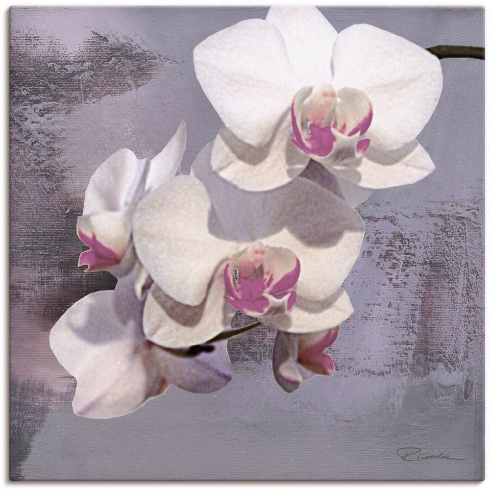 Artland Wandbild Orchideen vor Violett II, Blumen (1 St), als Alubild,  Leinwandbild, Wandaufkleber oder Poster in versch. Größen