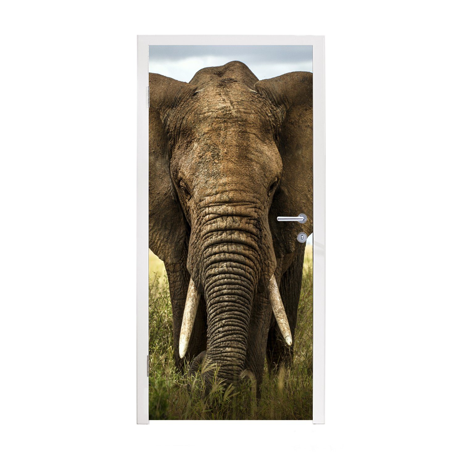 MuchoWow Türtapete Elefant - Natur - Gras - Tiere - Landschaft, Matt, bedruckt, (1 St), Fototapete für Tür, Türaufkleber, 75x205 cm