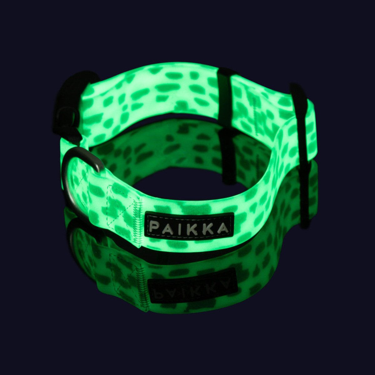 PAIKKA Hunde-Halsband Hundehalsband "Glow Collar" 2.0