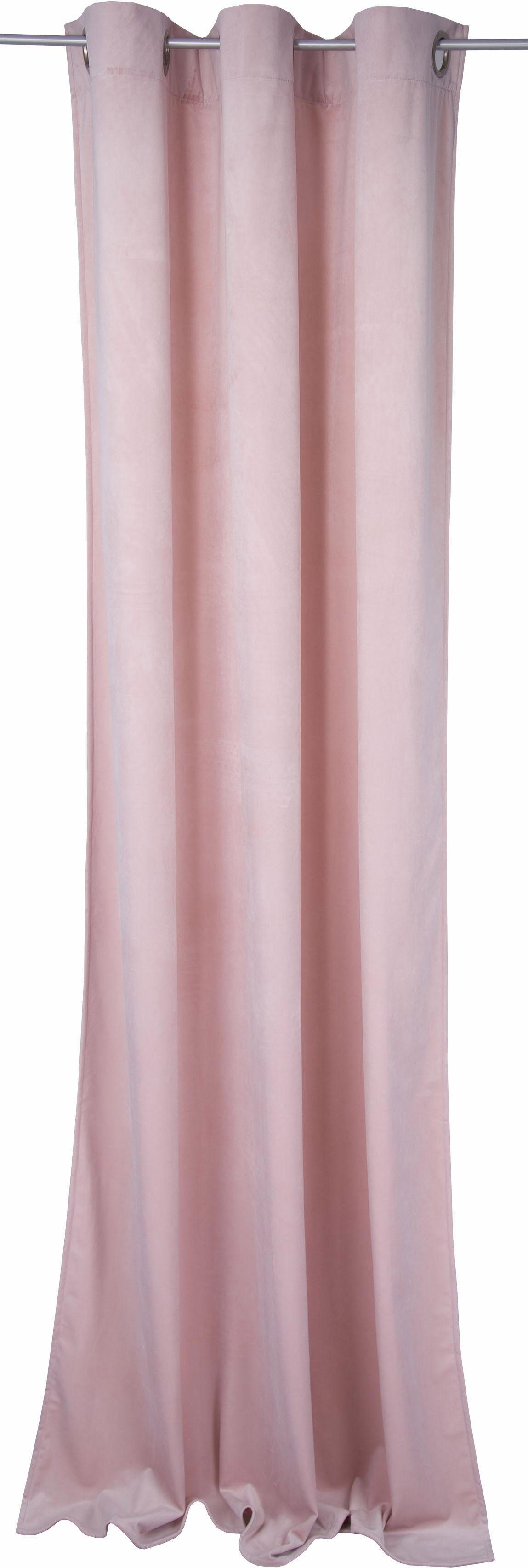 rosé TOM HOME, VELVET, Vorhang (1 St), 245x135 Ösen blickdicht, TAILOR FRENCH HxB: