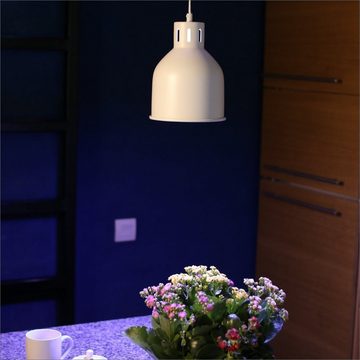 PARUS Pflanzenlampe Zubehör, ohne Leuchtmittel, 4 Meter Kabel, Venso EcoSolutions E27 SAGA Lampenschirm Grau, LED Pflanzenlampe E27 P
