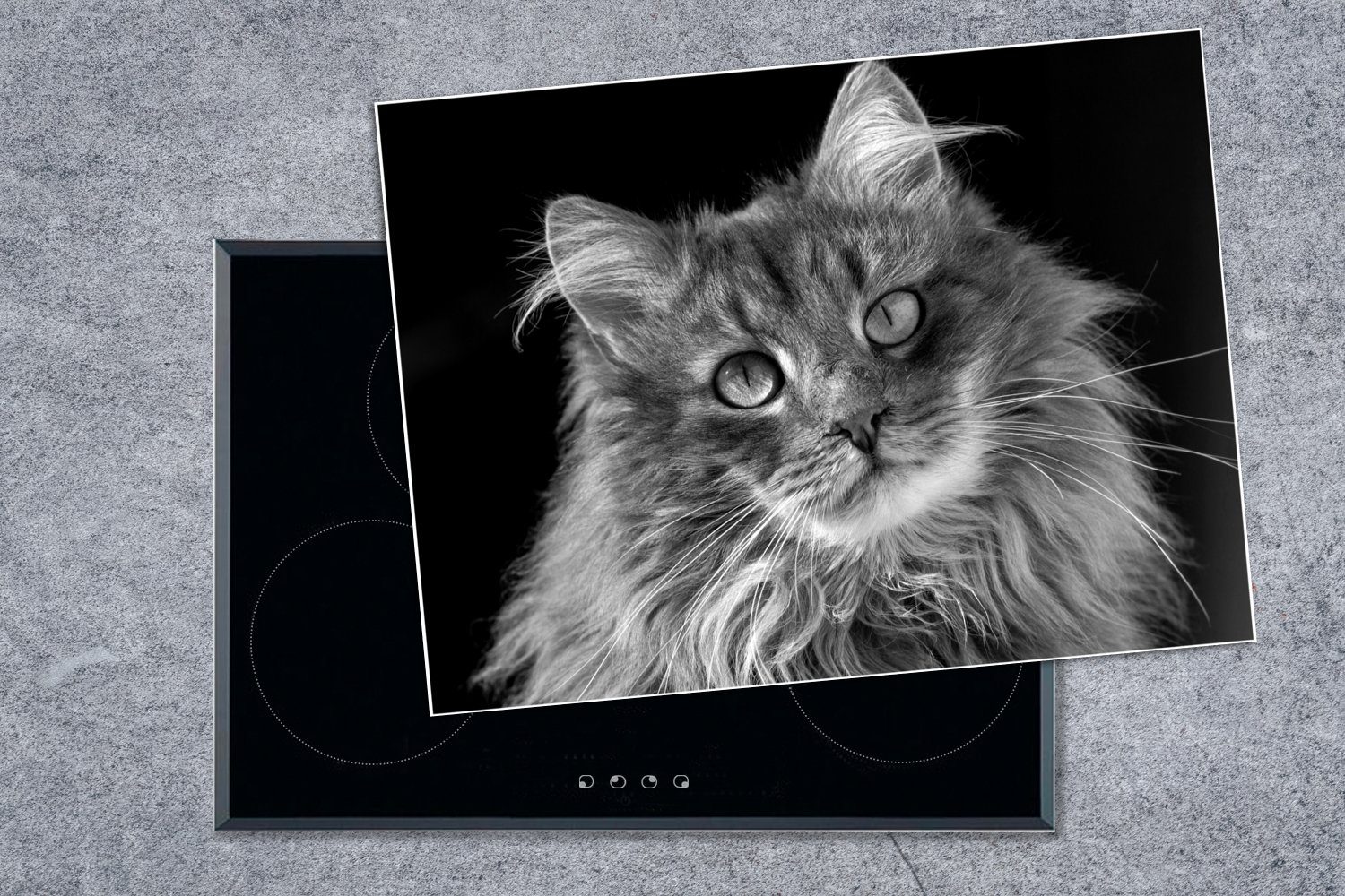 nutzbar, schwarz Ceranfeldabdeckung Herdblende-/Abdeckplatte Arbeitsfläche Mobile Katze und MuchoWow (1 mit weiß, 70x52 Augen tlg), - cm, Vinyl,