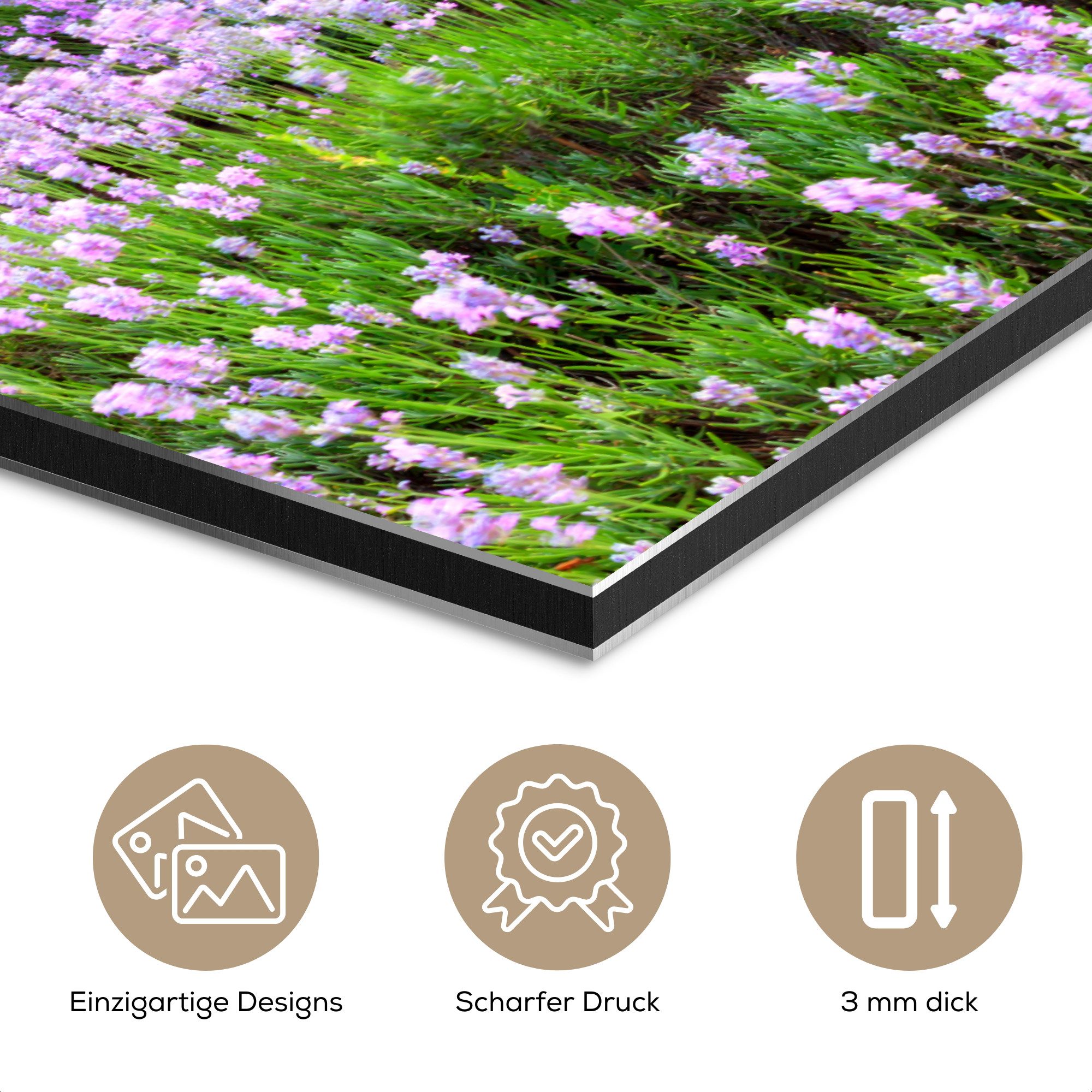 MuchoWow Metallbild Lavendel - Blumen - günstig online kaufen