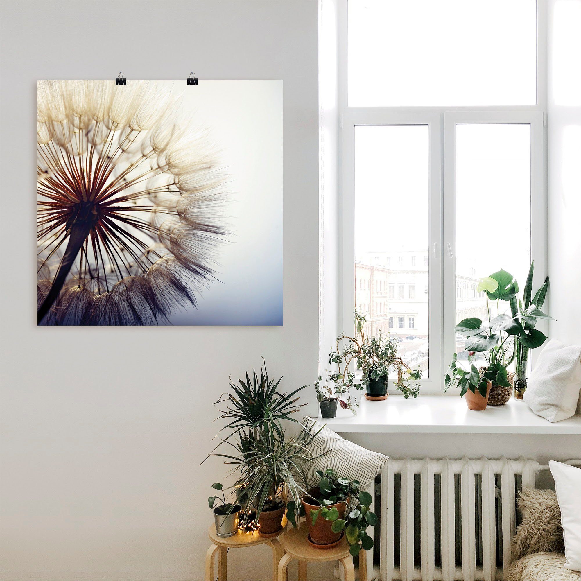 Wandbild Artland Pusteblume, in Große St), Größen Blumen Poster Alubild, oder Leinwandbild, (1 Wandaufkleber als versch.