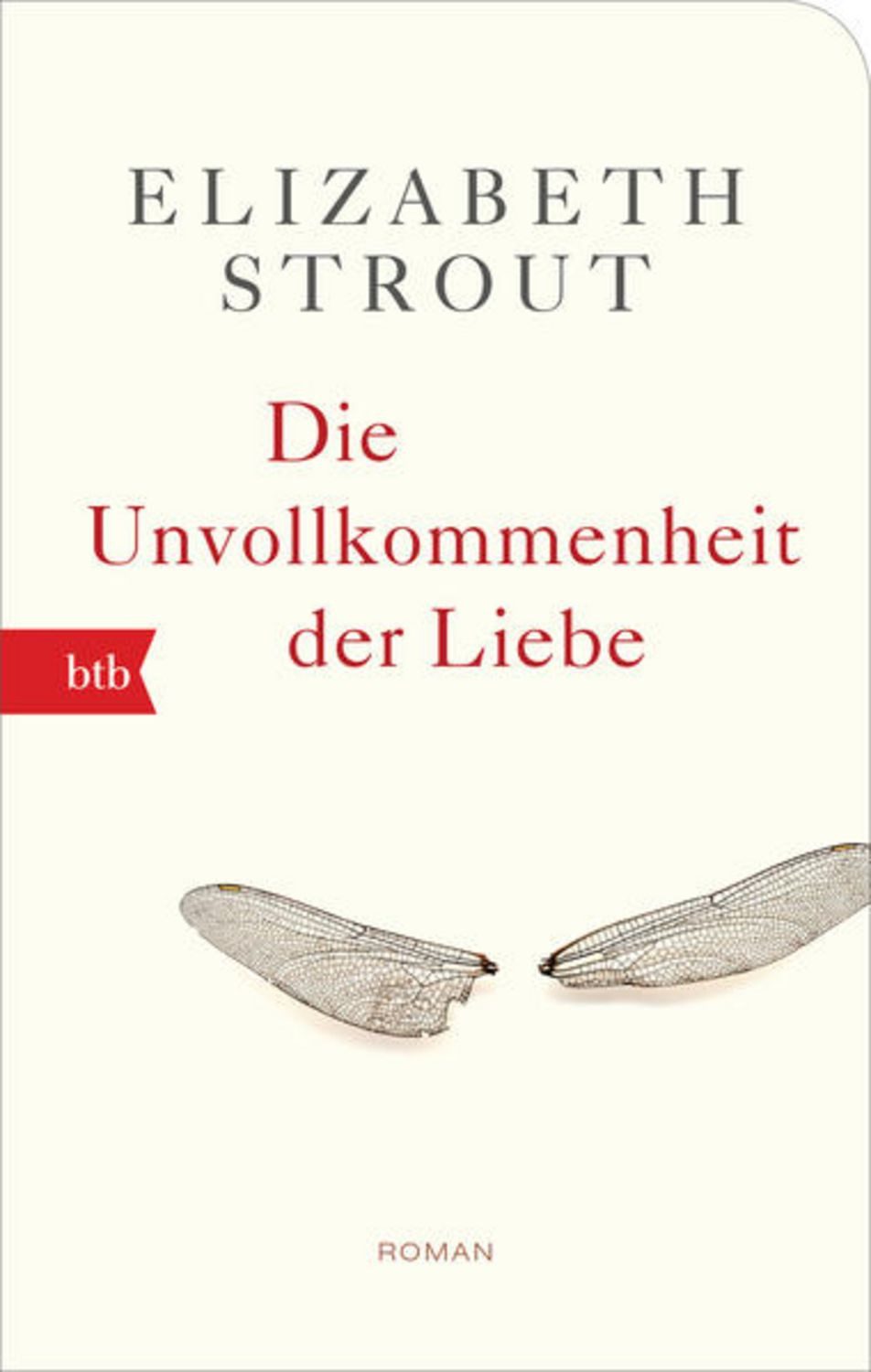 Die Unvollkommenheit der Liebe / Elizabeth Strout