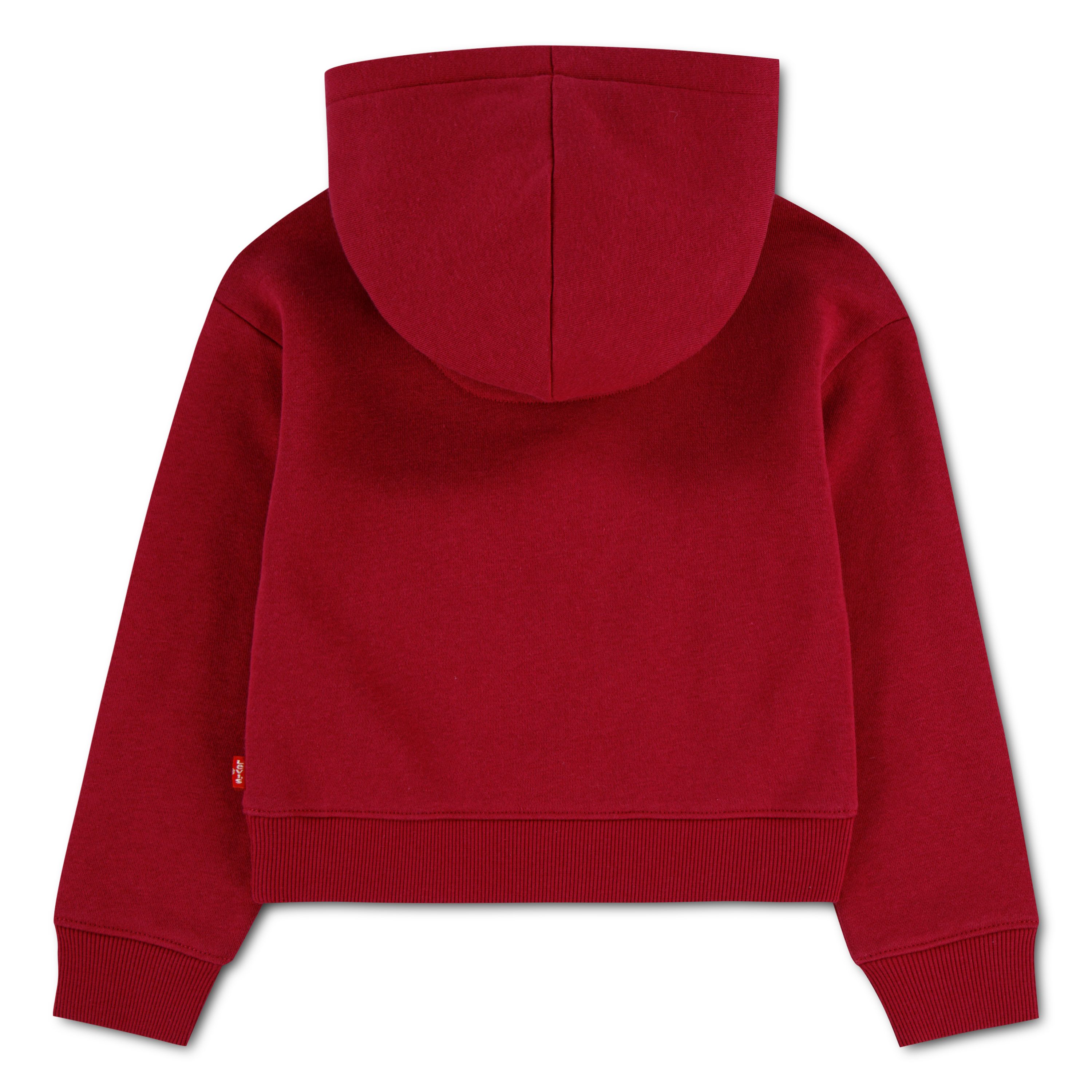 Levi's® Kids Kapuzensweatshirt LVG MEET AND GREET SEASONAL HO mit floralem Logo-Print in Kontrast - for Girls