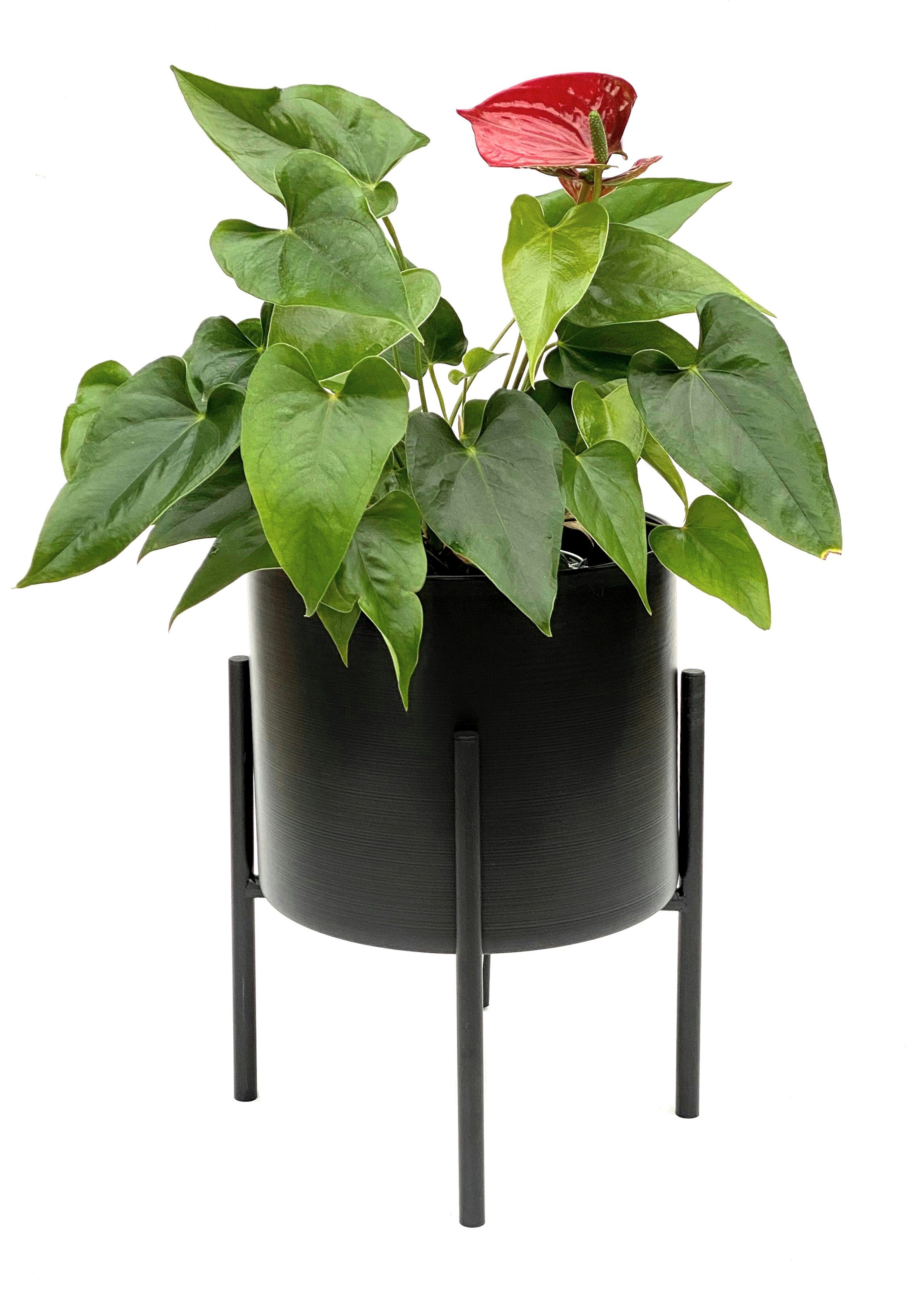 Blumentopf Halter Pflanzen Ständer mit Übertopf Industrial Blumentopfständer aus Metall in 19cm moderner Planzenständer mit Topf Oliv grün 
