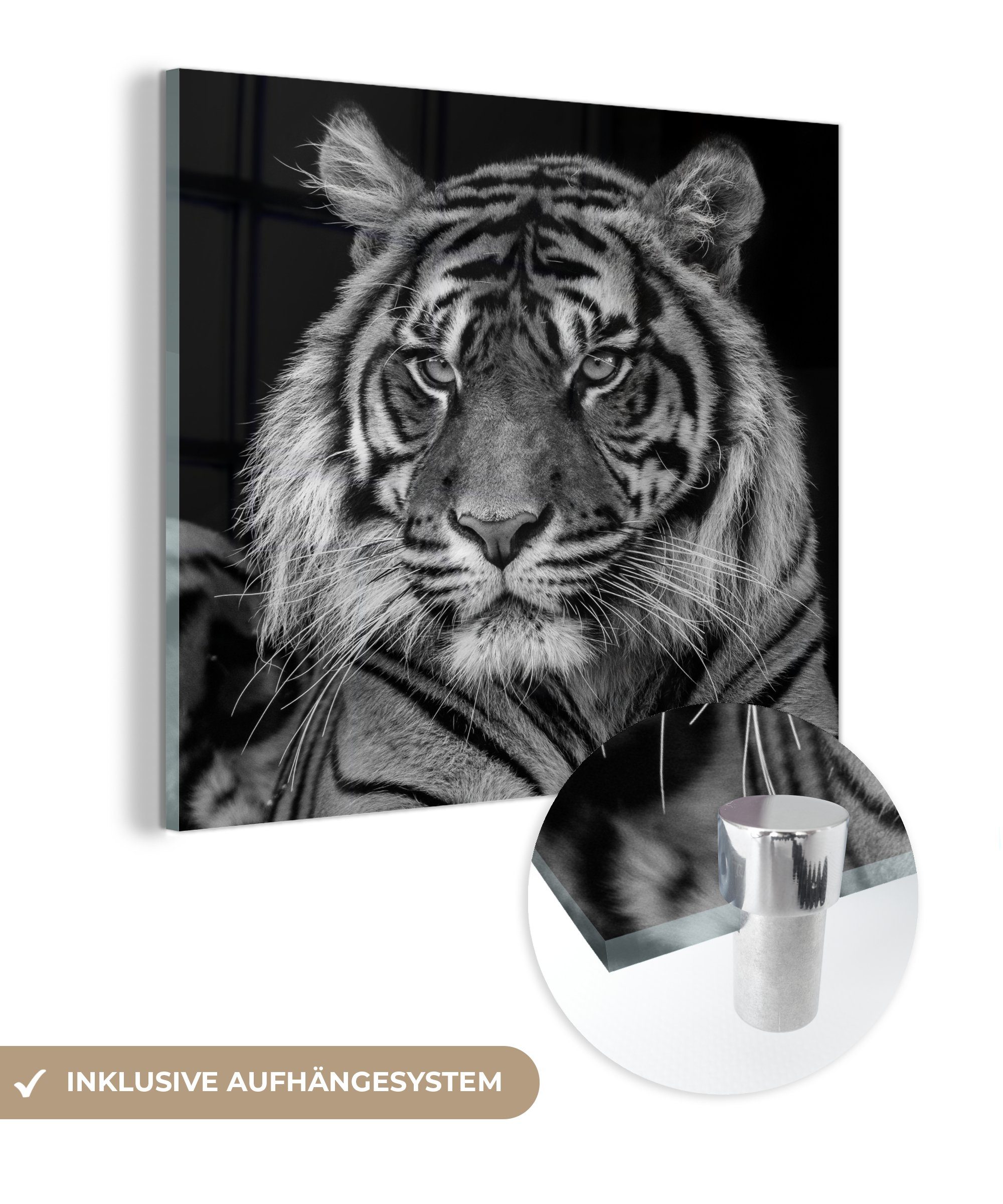 MuchoWow Acrylglasbild Sumatra-Tiger auf schwarzem Hintergrund, (1 St), Glasbilder - Bilder auf Glas Wandbild - Foto auf Glas - Wanddekoration