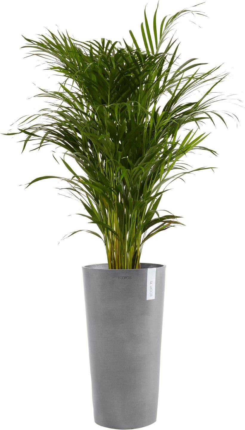 Thumbnail - ECOPOTS Blumentopf AMSTERDAM HIGH Grey, BxTxH: 41x41x76 cm