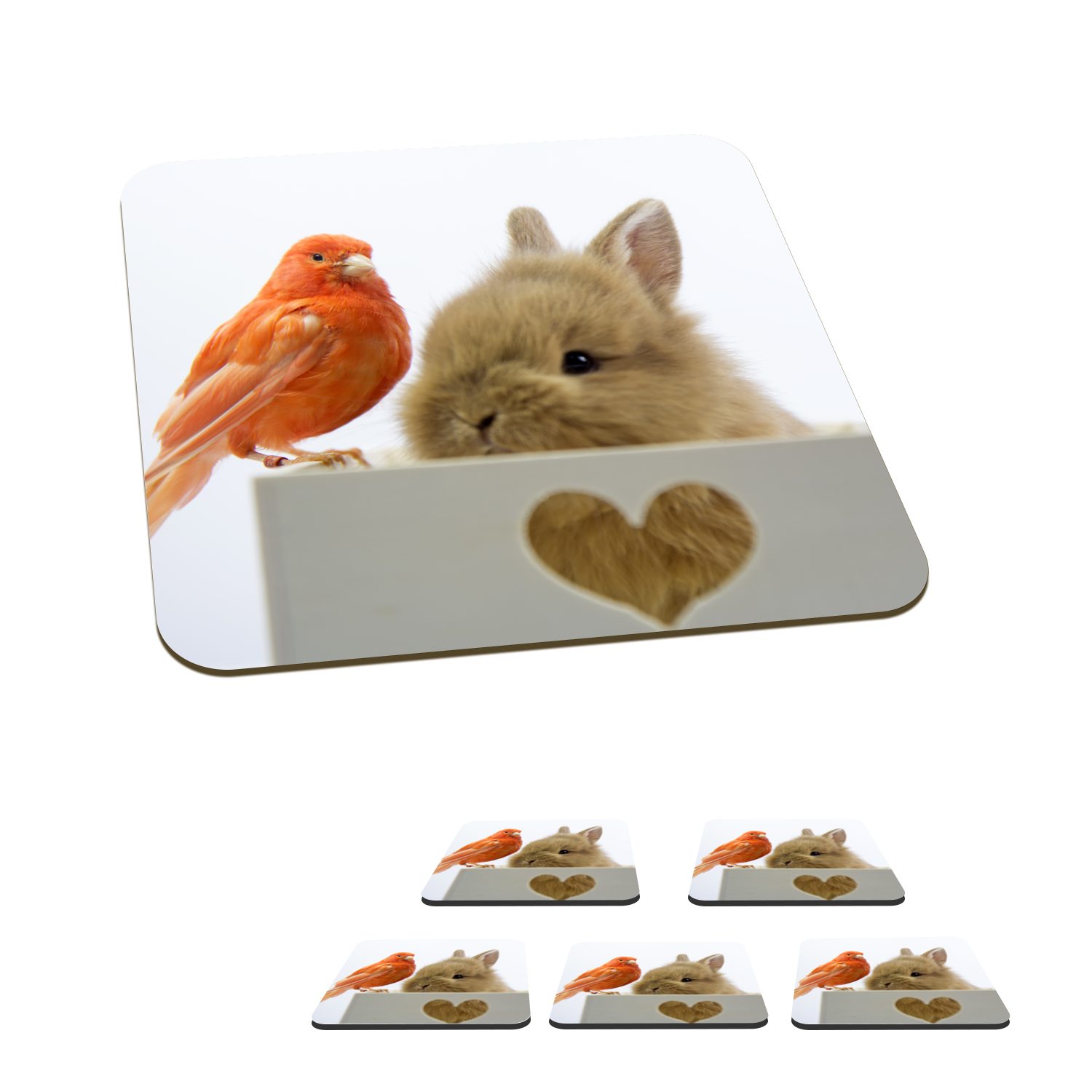 MuchoWow Glasuntersetzer Tiere - Kaninchen - Vogel, Zubehör für Gläser, 6-tlg., Glasuntersetzer, Tischuntersetzer, Korkuntersetzer, Untersetzer, Tasse