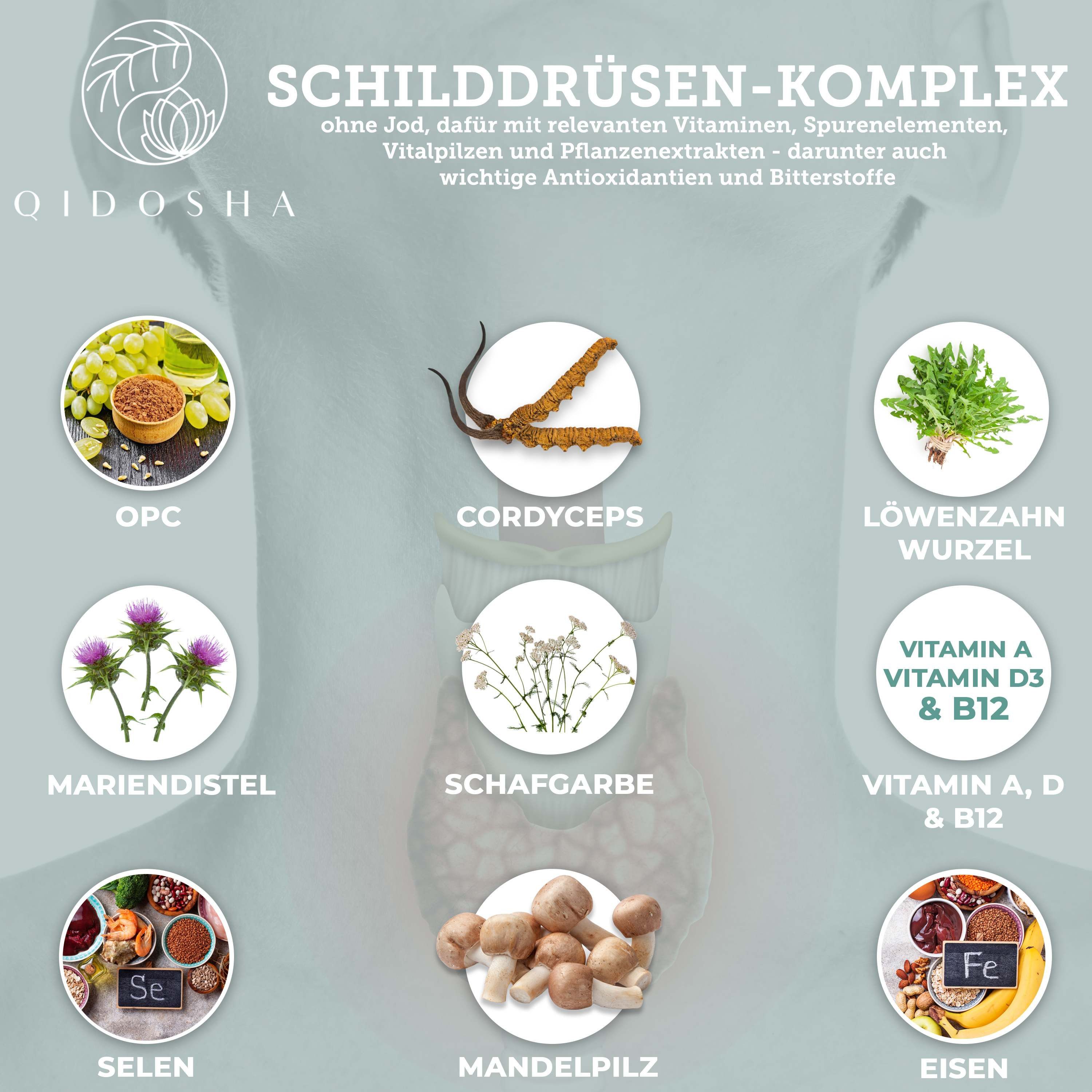 QIDOSHA Schilddrüsen-Komplex ohne Jod Hartkapsel, 1 er 120 St., 74.1 g, Mit Cordyceps, OPC, Selen & Vitamin B12