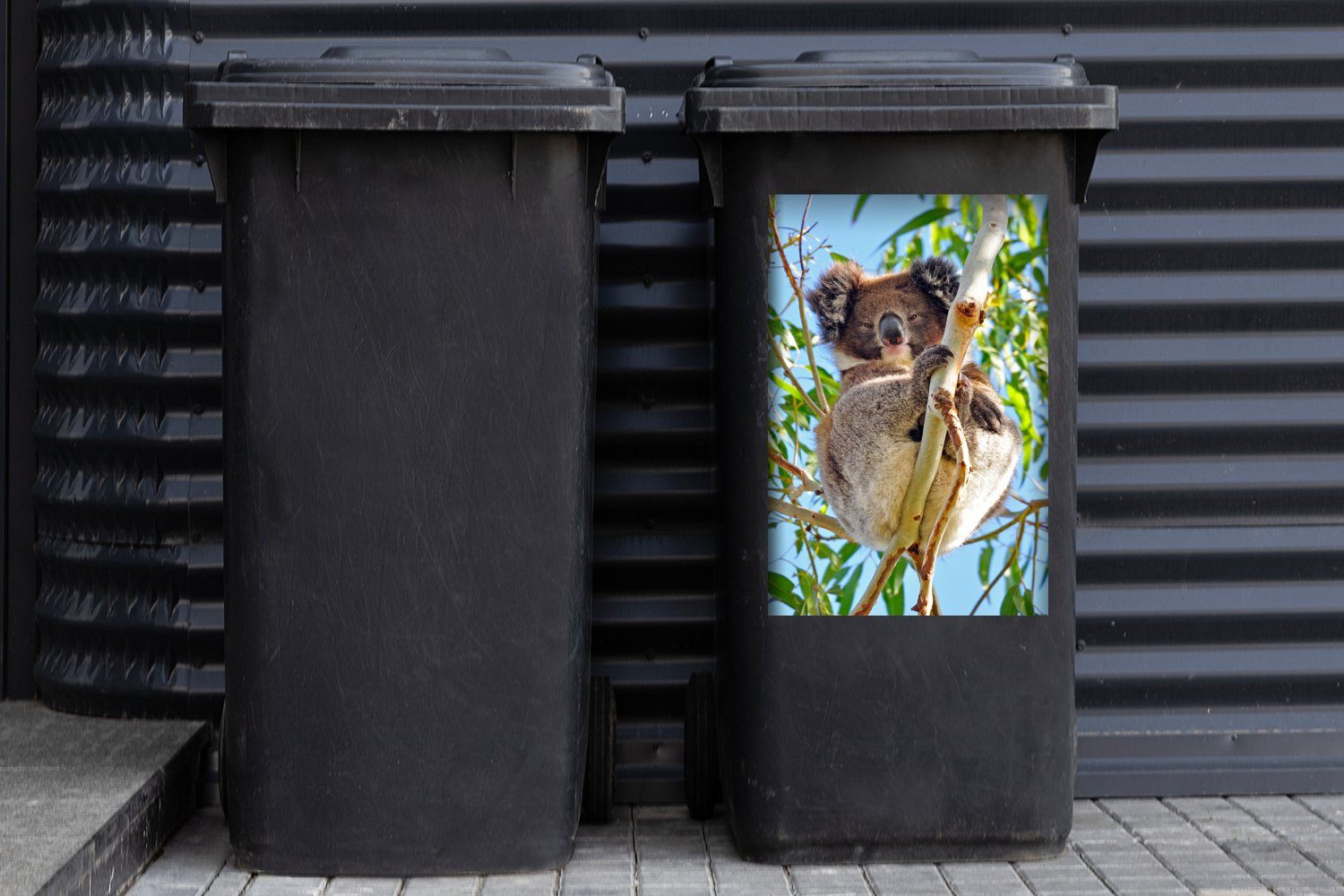 MuchoWow St), Koala Jungen Wandsticker Abfalbehälter - Mülltonne, Kinder Luft Mädchen - Container, Mülleimer-aufkleber, (1 - Zweige - - Sticker,
