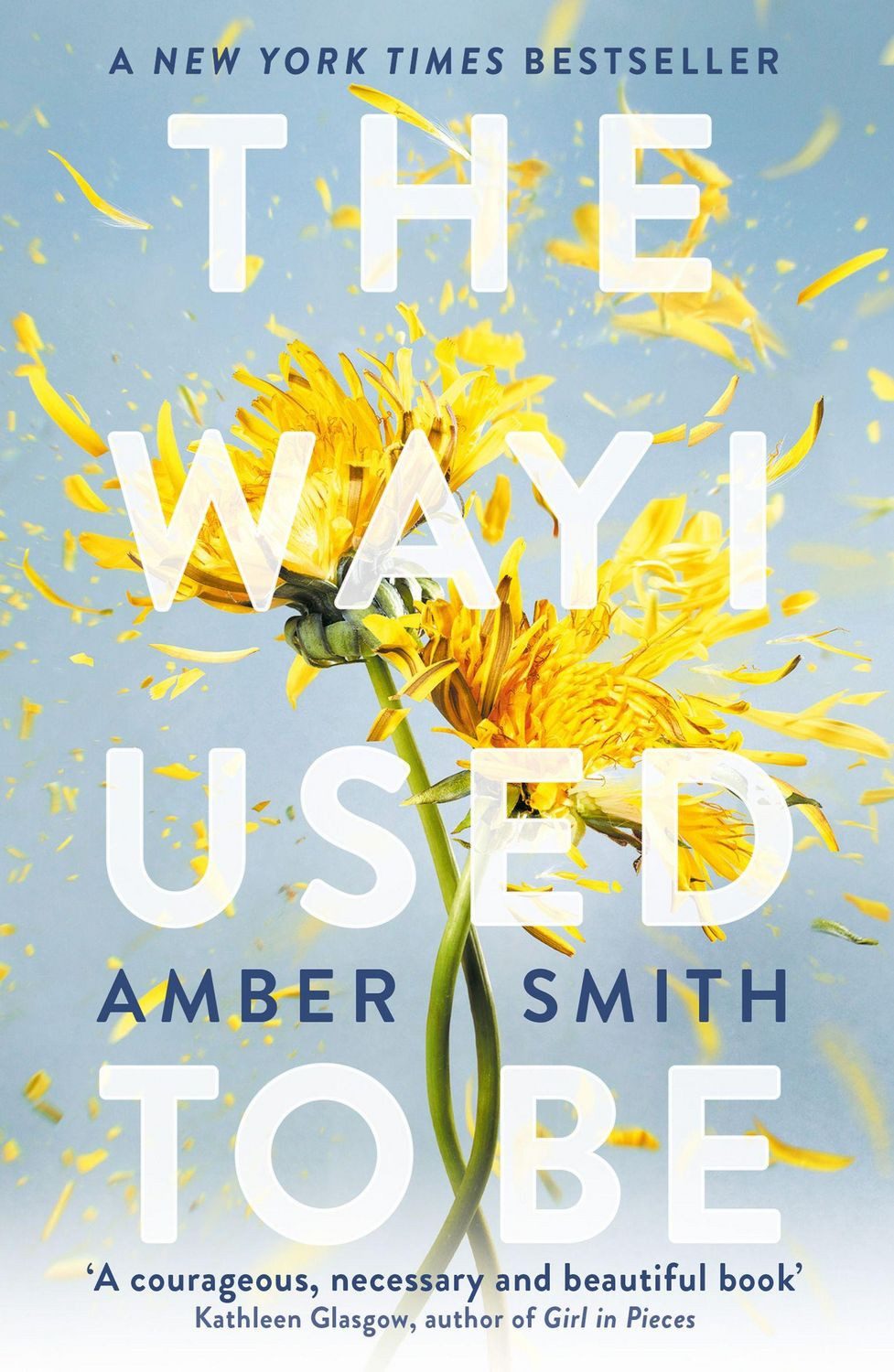 The Way I Used to Be / Amber Smith