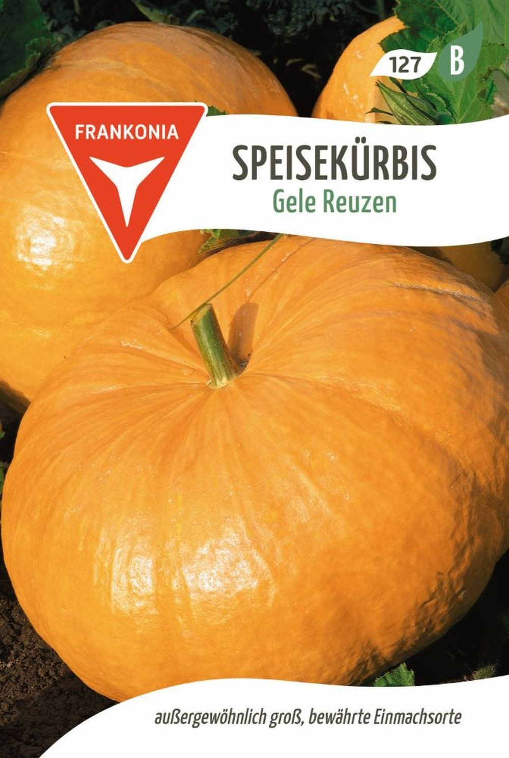 FRANKONIA Gemüsesamen Speisekürbis, Gele Reuzen - Kürbis-Samen Saatgut Samen, Cucurbita pepo
