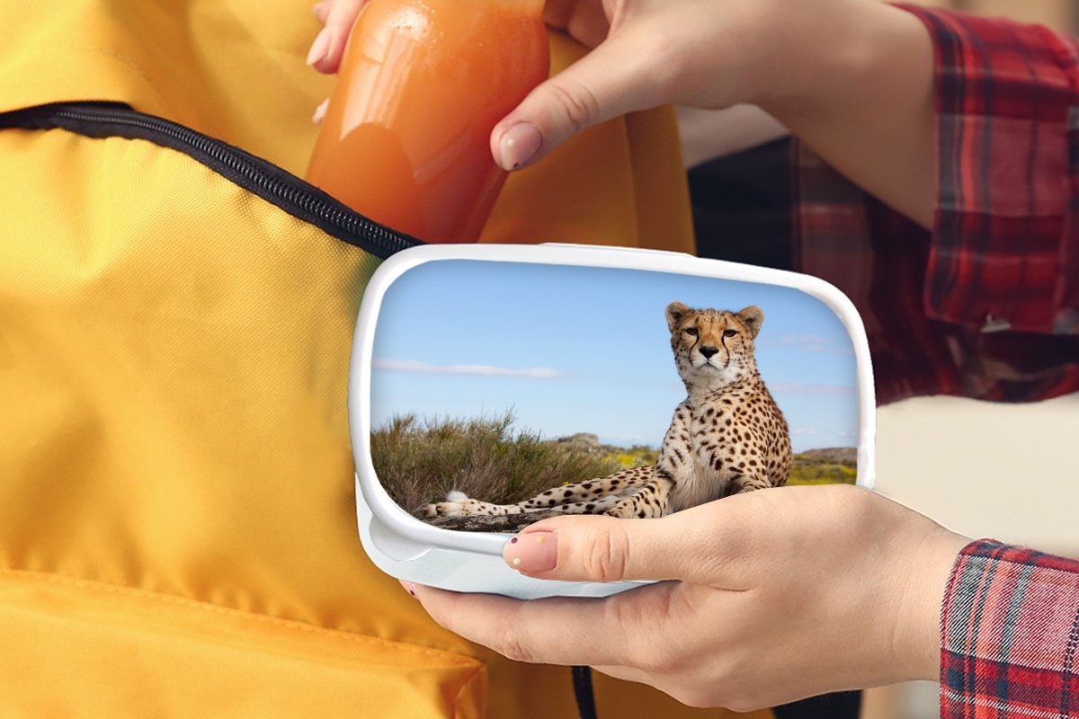 Brotdose, MuchoWow weiß für Brotbox und und Mädchen - Jungs - Natur, Leopard Kunststoff, Tiere (2-tlg), Erwachsene, Kinder für Lunchbox