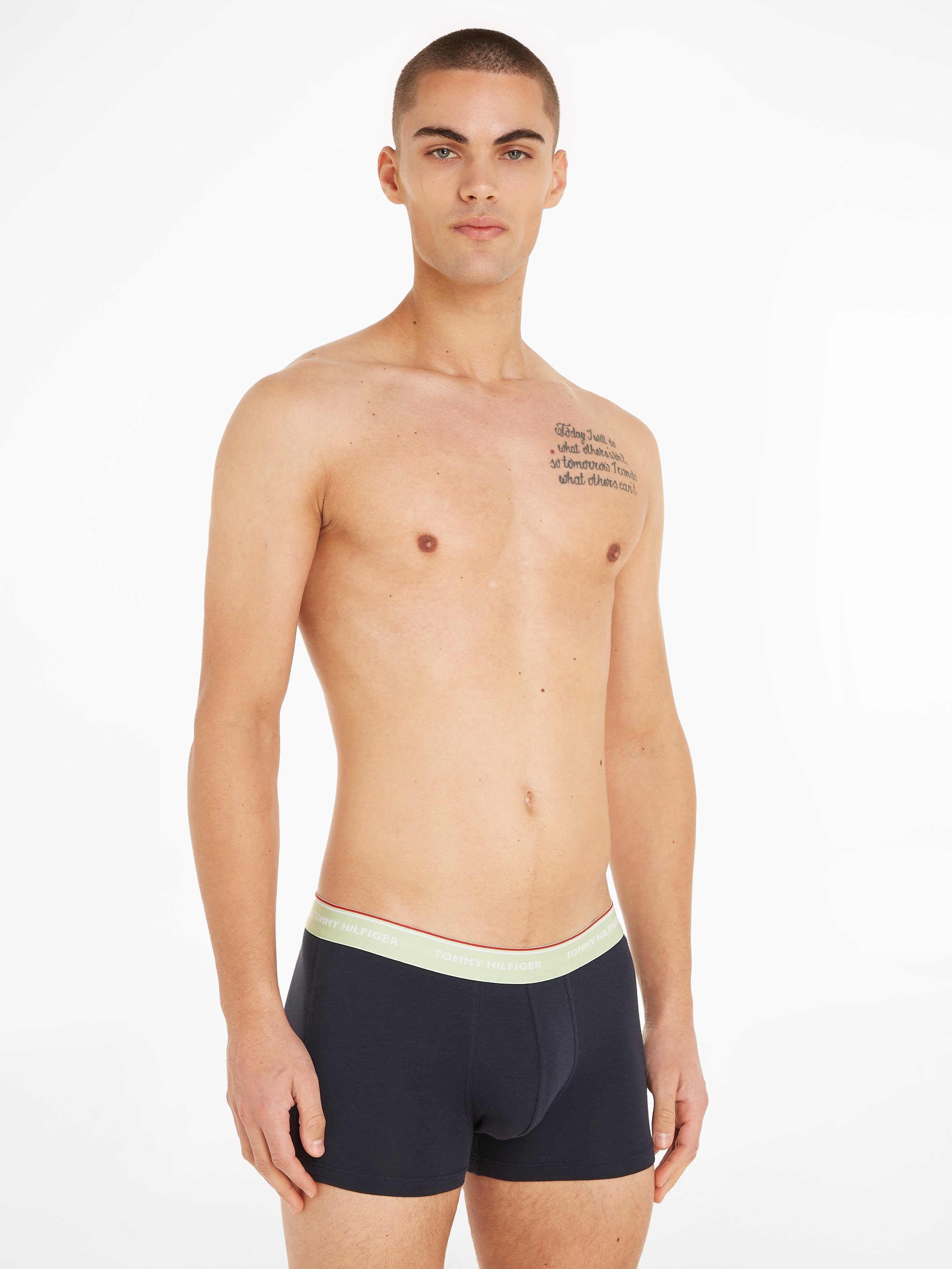 Tommy Hilfiger Underwear Trunk 3P mit WB Ray/Skyline Grove/Sun 3er-Pack) (Packung, TRUNK Willow Logo-Elastikbund