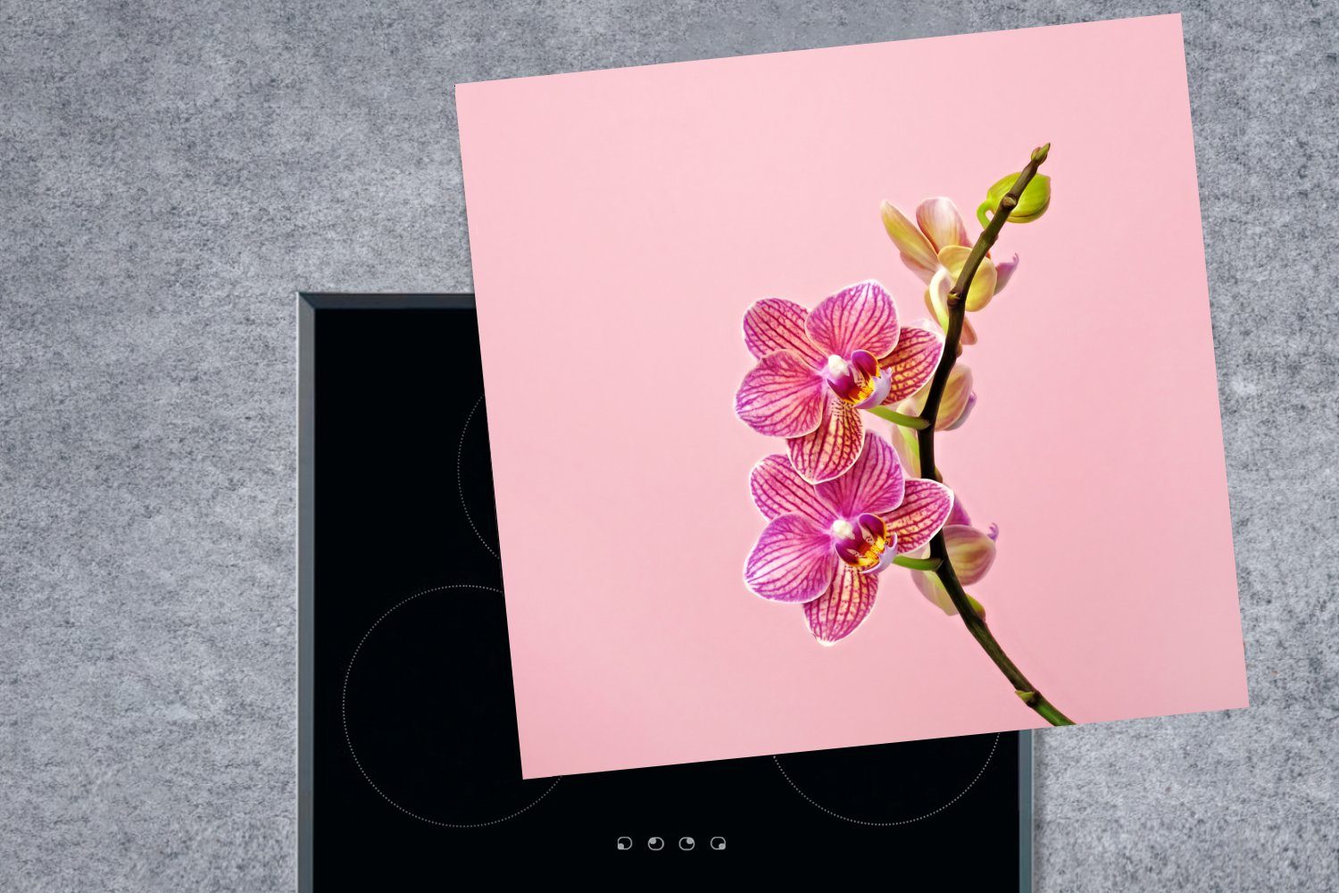 78x78 Hintergrund, (1 Rosa MuchoWow für rosa Arbeitsplatte einem Ceranfeldabdeckung, Vinyl, Herdblende-/Abdeckplatte Orchideen cm, tlg), vor küche