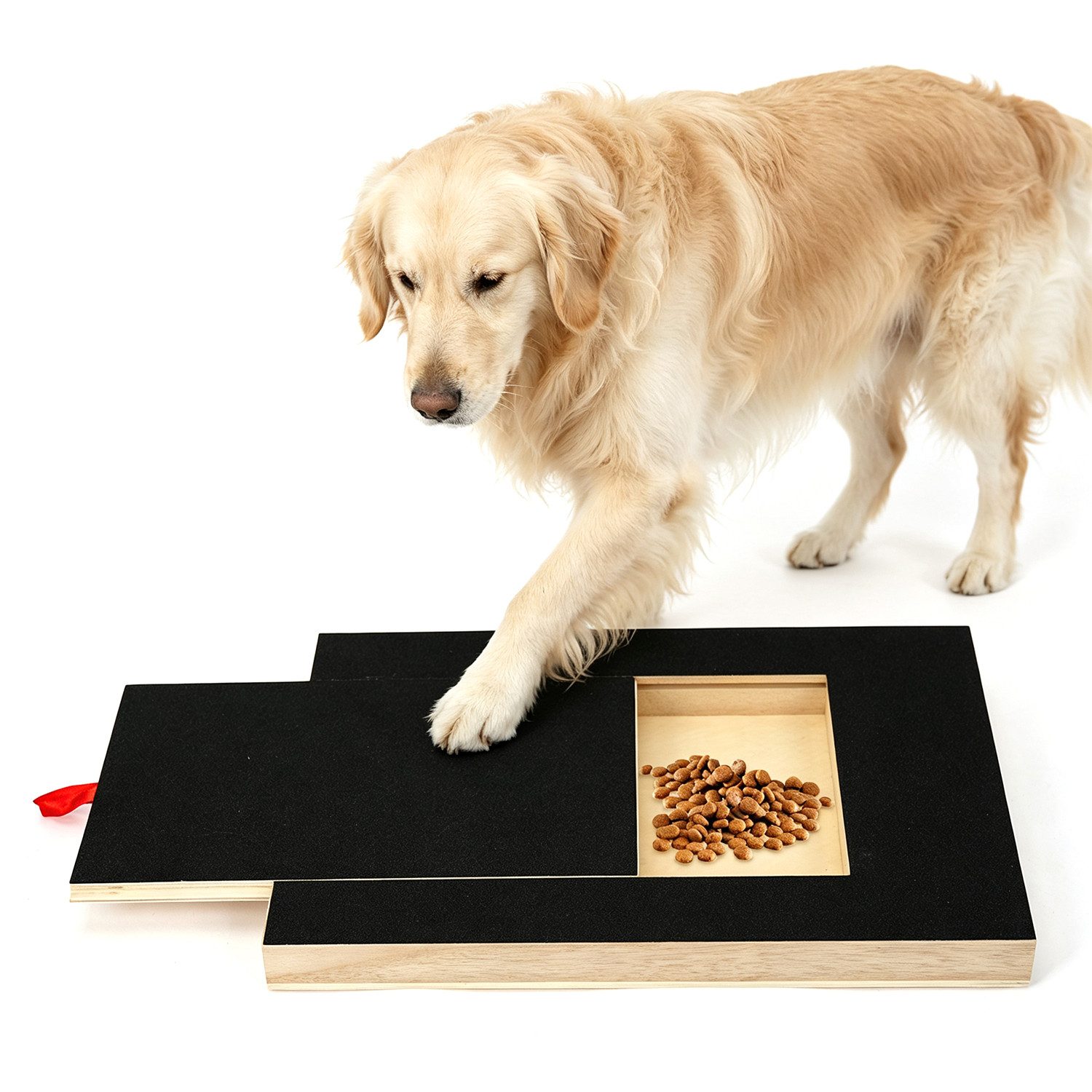 OSTWOLKE Kratzbrett Hunde-Krallenbrett mit Leckerlibox – inkl. 2 Ersatz-Schleifpapieren, 4 Anti-Rutsch-Matte, Dog Nail Scratch Board für Haustiernagel Care