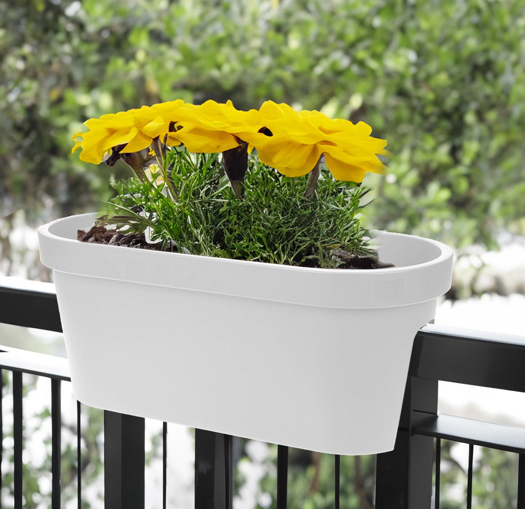 Spetebo Balkonkasten Balkon Blumentopf oval 60 günstig online kaufen