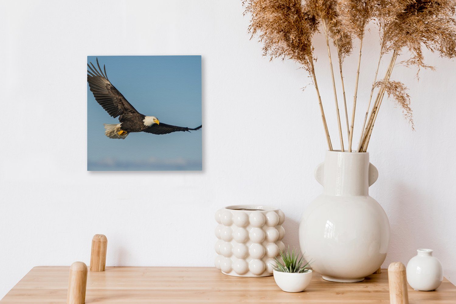 Schlafzimmer - Raubvögel, (1 - Leinwandbild für Leinwand Vogel OneMillionCanvasses® Bilder Adler Wohnzimmer St),