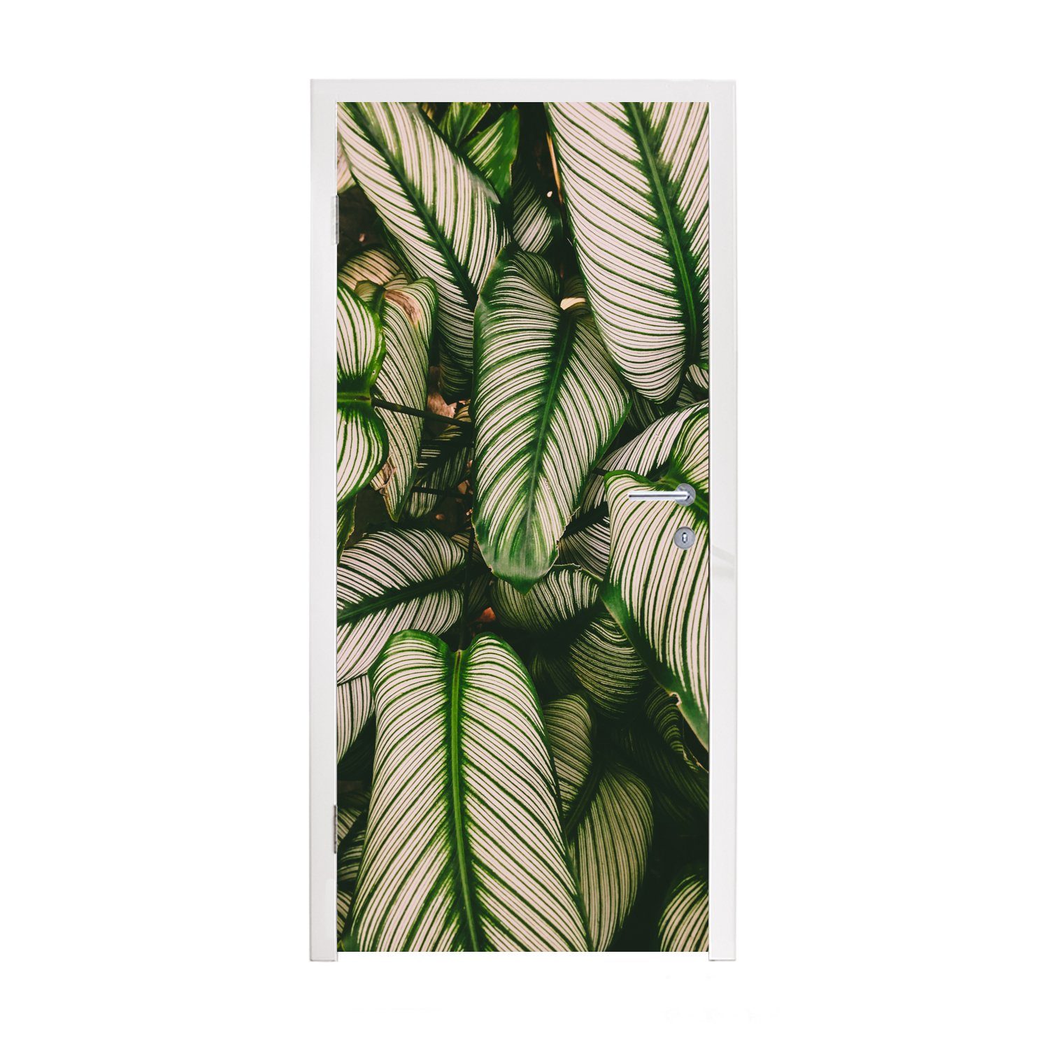MuchoWow Türtapete Blätter - Pflanze - Grün, Matt, bedruckt, (1 St), Fototapete für Tür, Türaufkleber, 75x205 cm