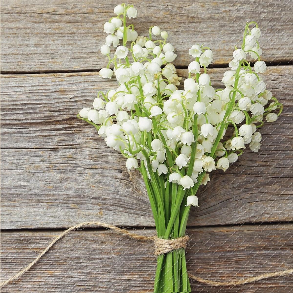 stewo Papierserviette STEWO 2572650260 Servietten "Mady" 33 x 33 cm weiss