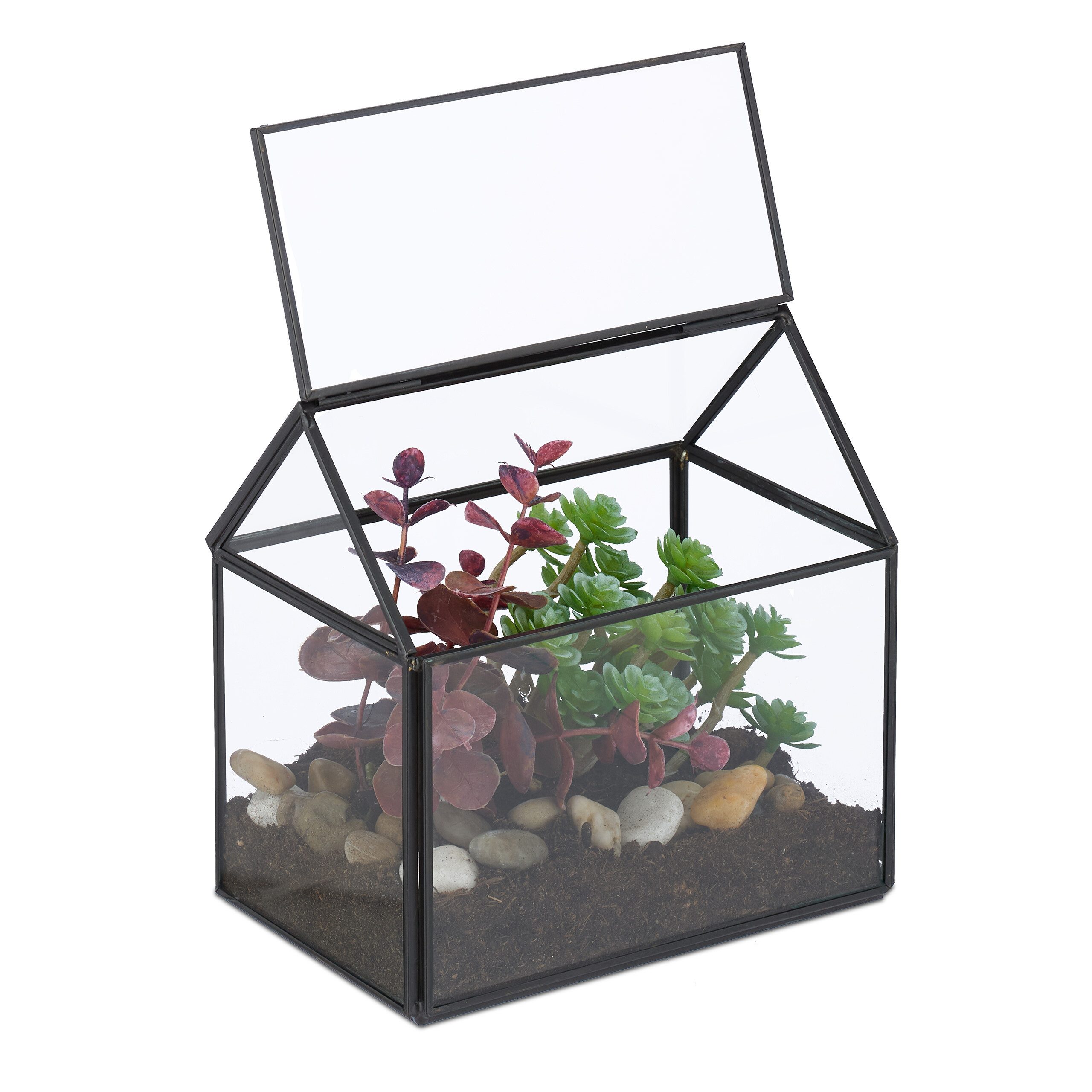 relaxdays Gewächshaus Pflanzenterrarium aus Glas Hausform, 1-St., schwarz günstig online kaufen